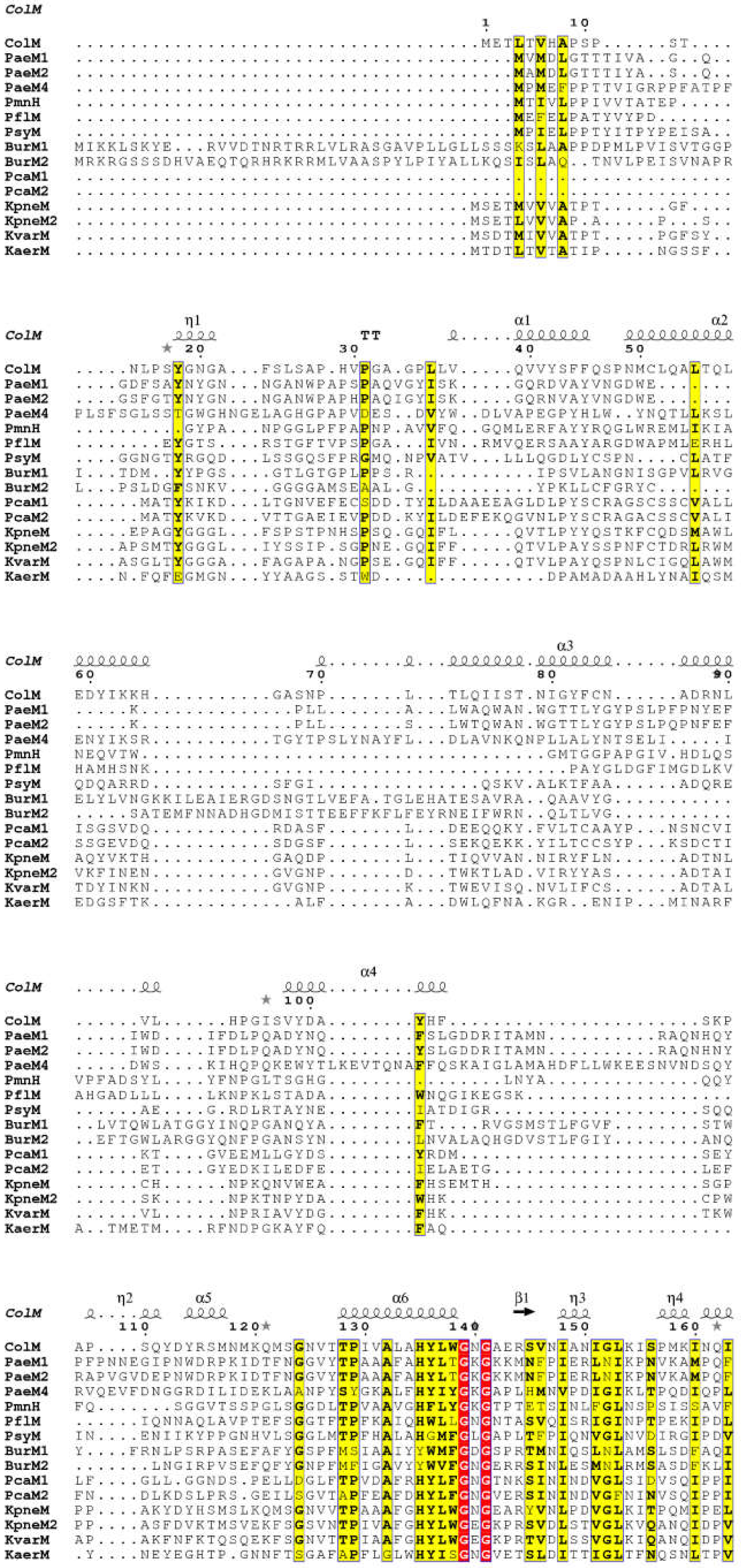 Antibiotics 10 01109 g009a