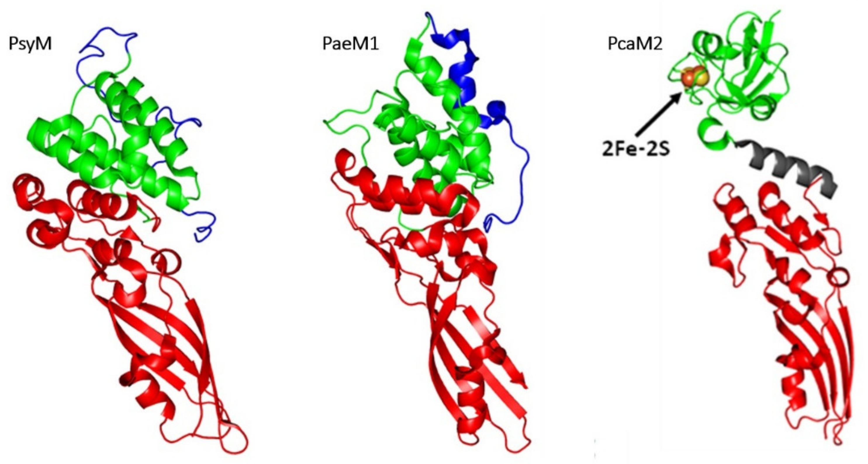 Antibiotics 10 01109 g010
