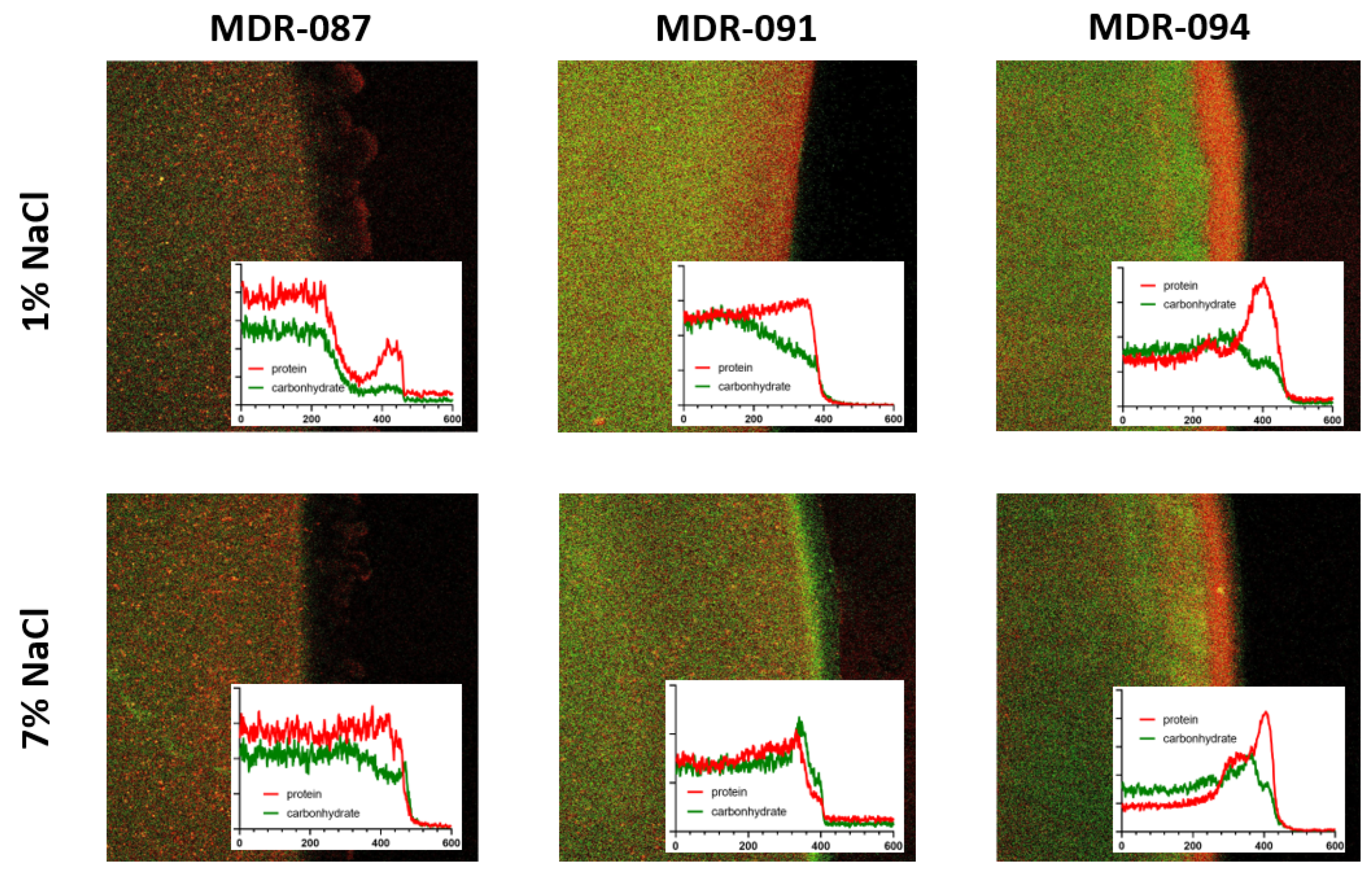 Antibiotics 10 01115 g004
