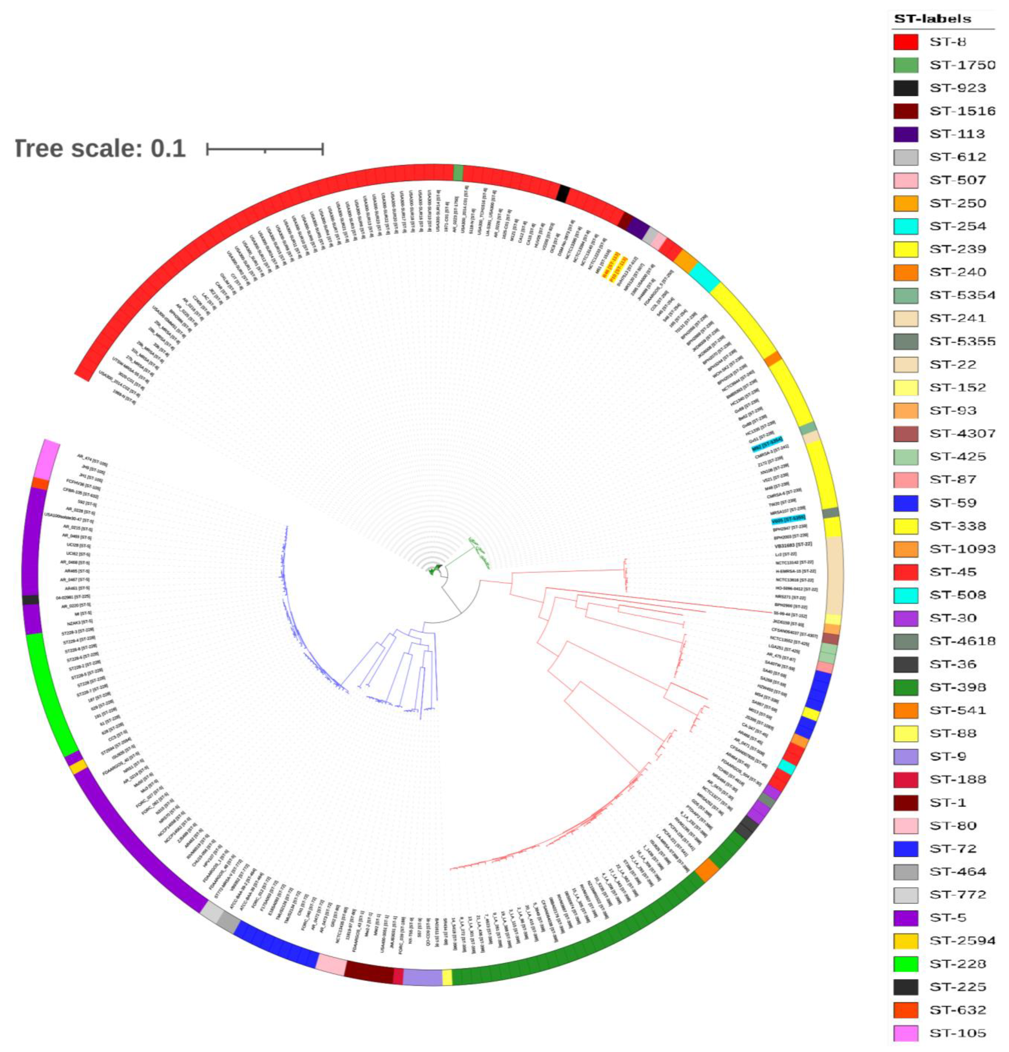 Antibiotics 10 01121 g003 Antibiotics 10 01121 g003