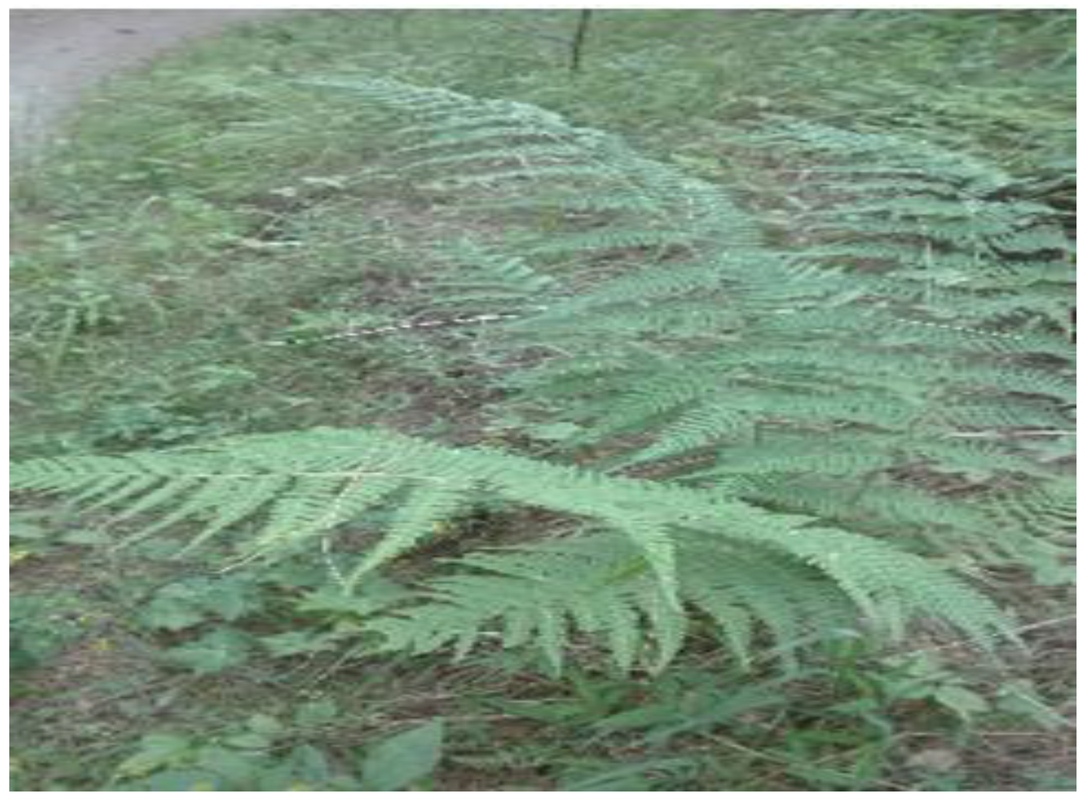 Antibiotics 10 01128 g001