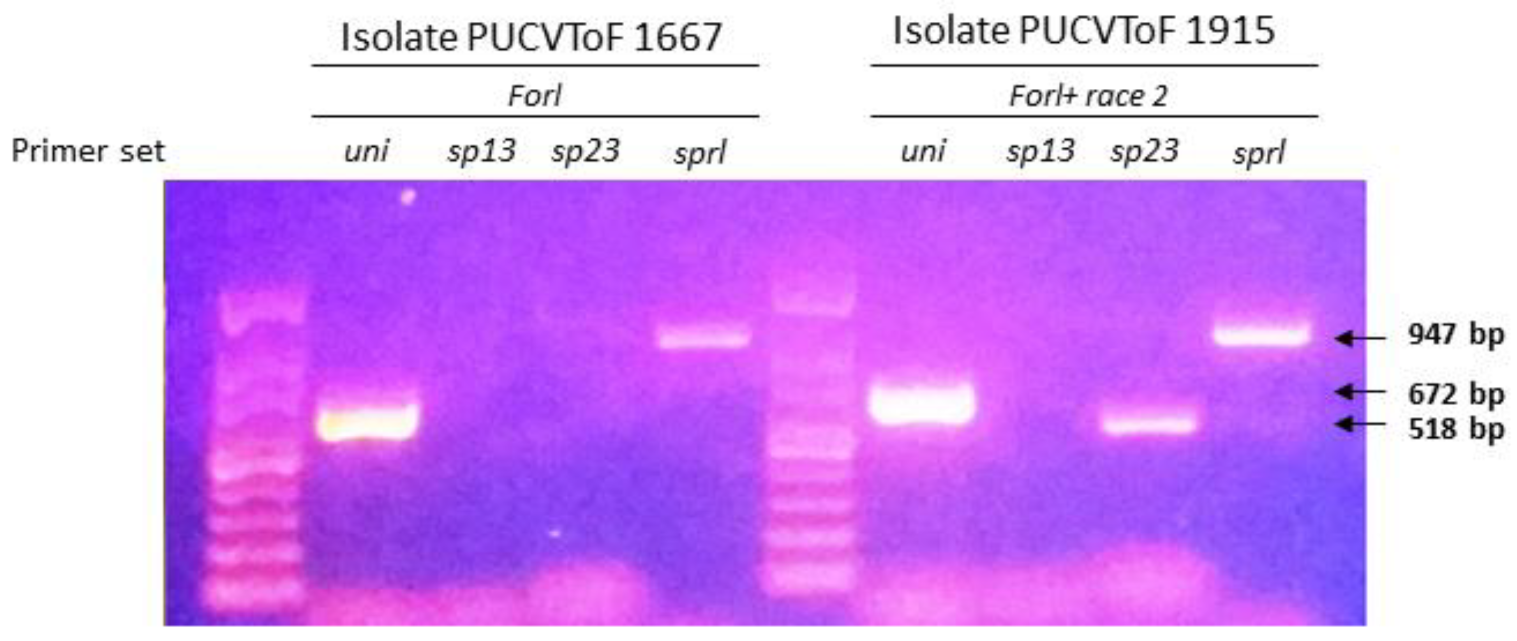 Antibiotics 10 01132 g001