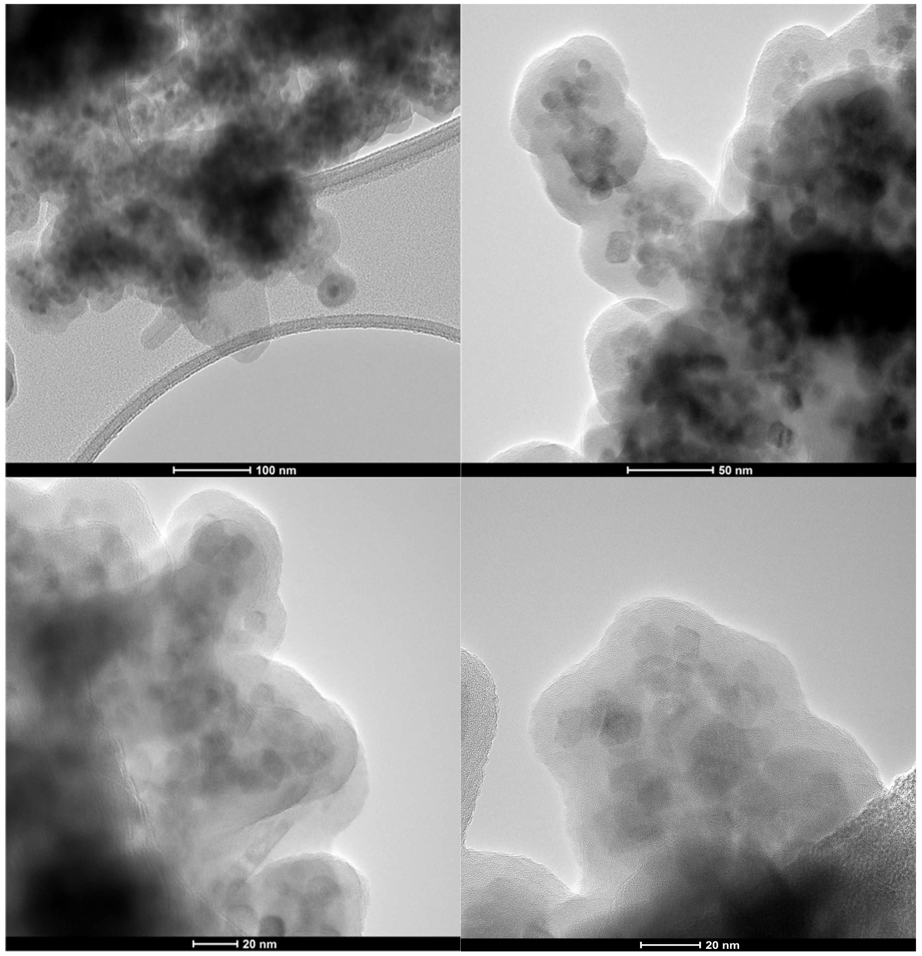 Antibiotics 10 01138 g002 550