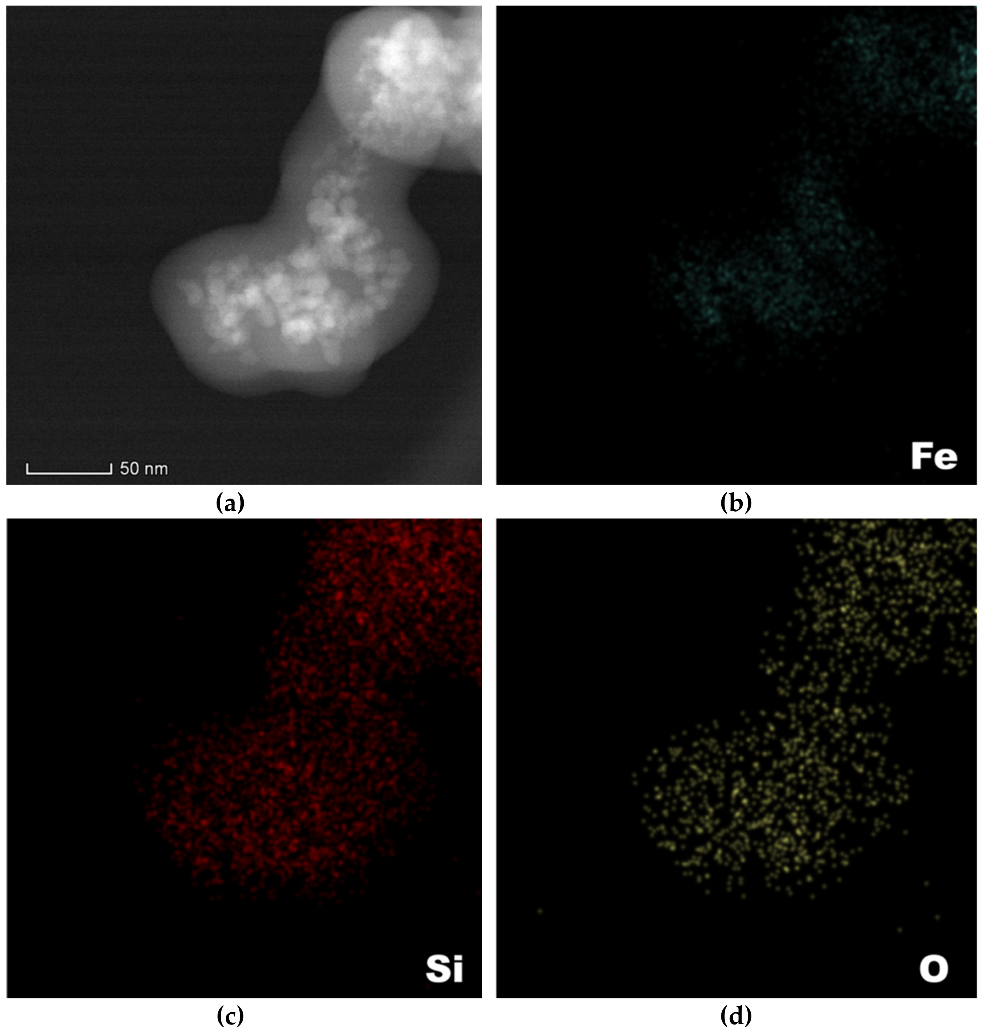 Antibiotics 10 01138 g006 550