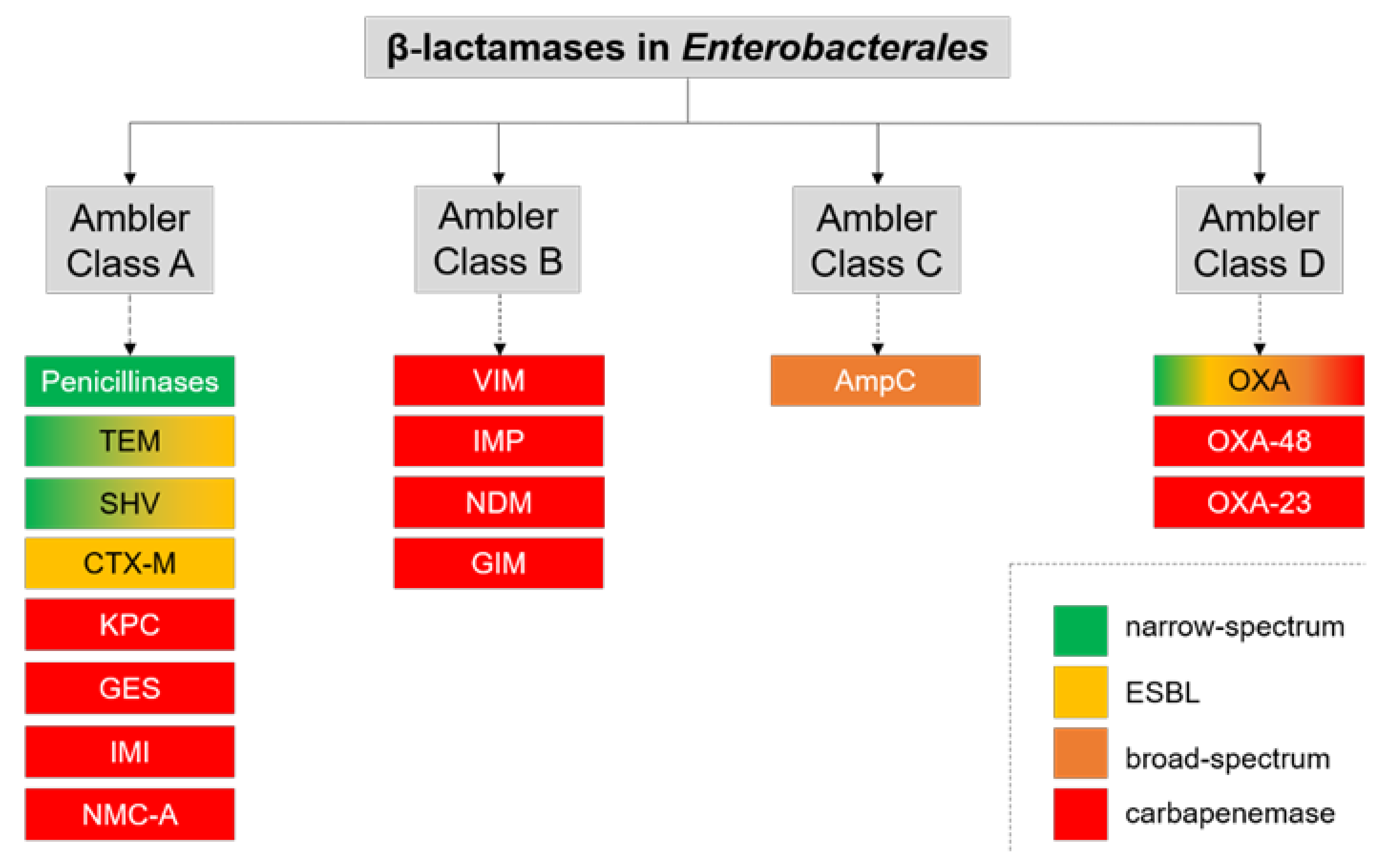 Antibiotics Free FullText Detection of MultidrugResistant
