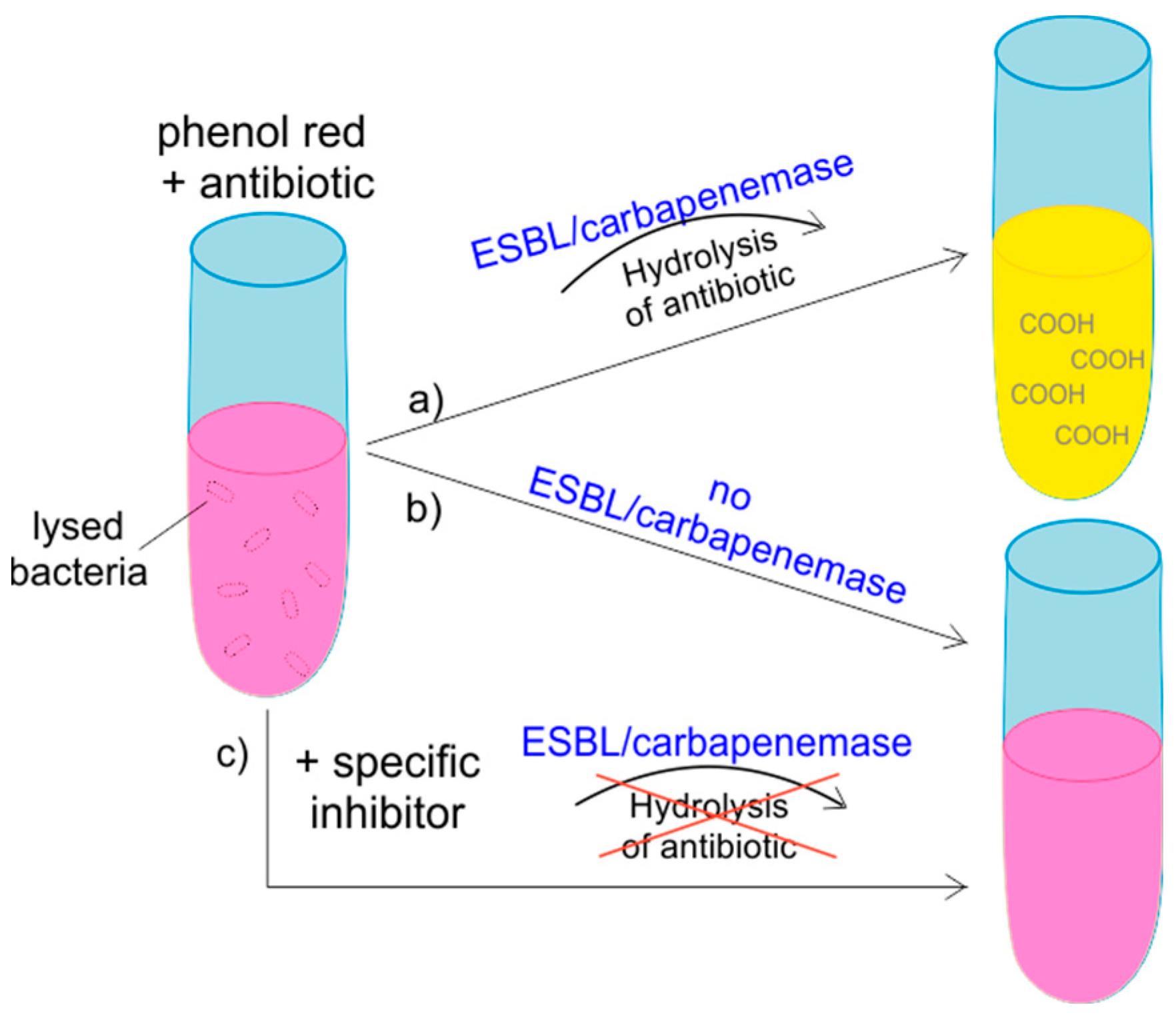 Antibiotics 10 01140 g003
