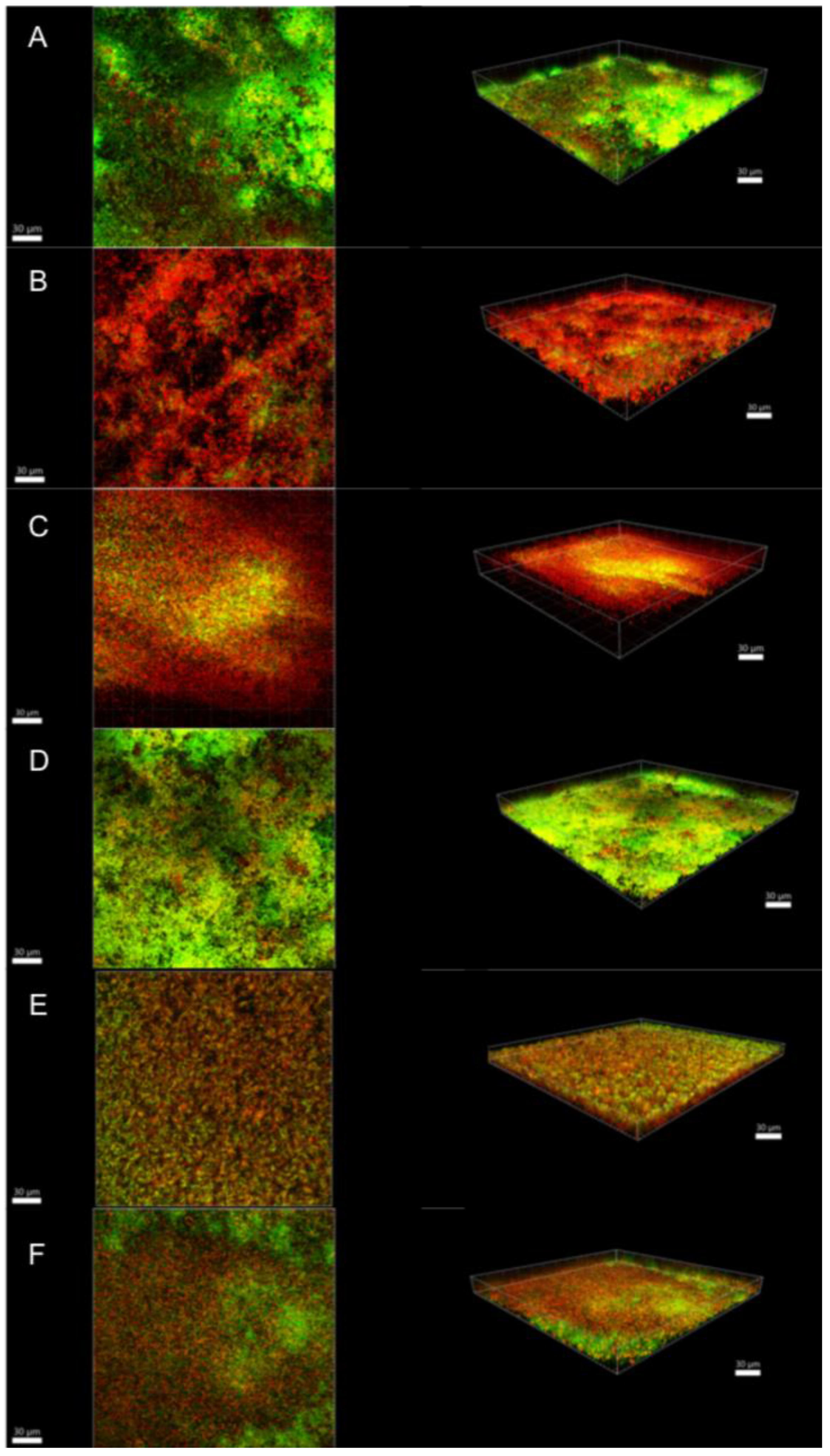 Antibiotics 10 01141 g003