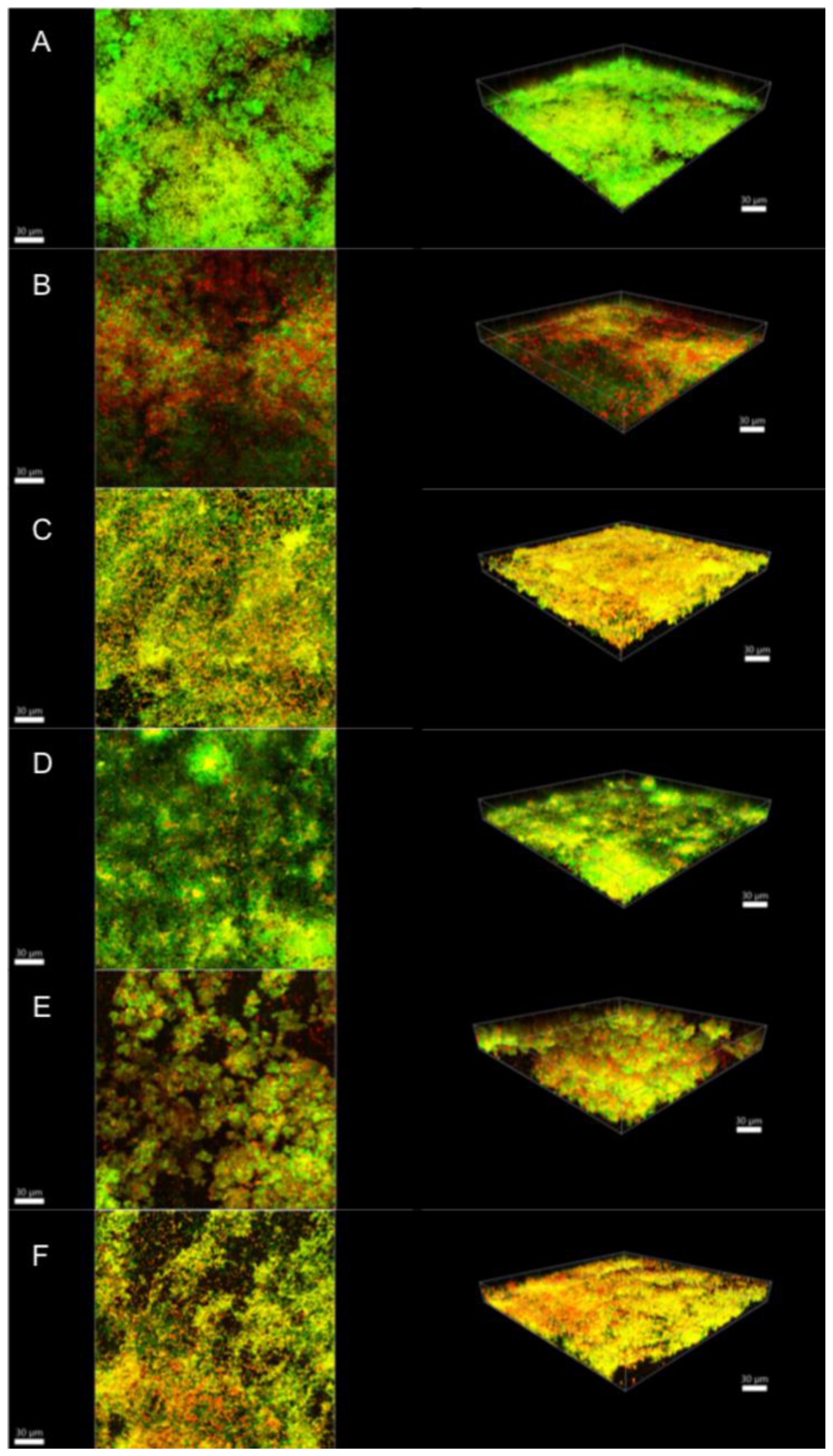 Antibiotics 10 01141 g004