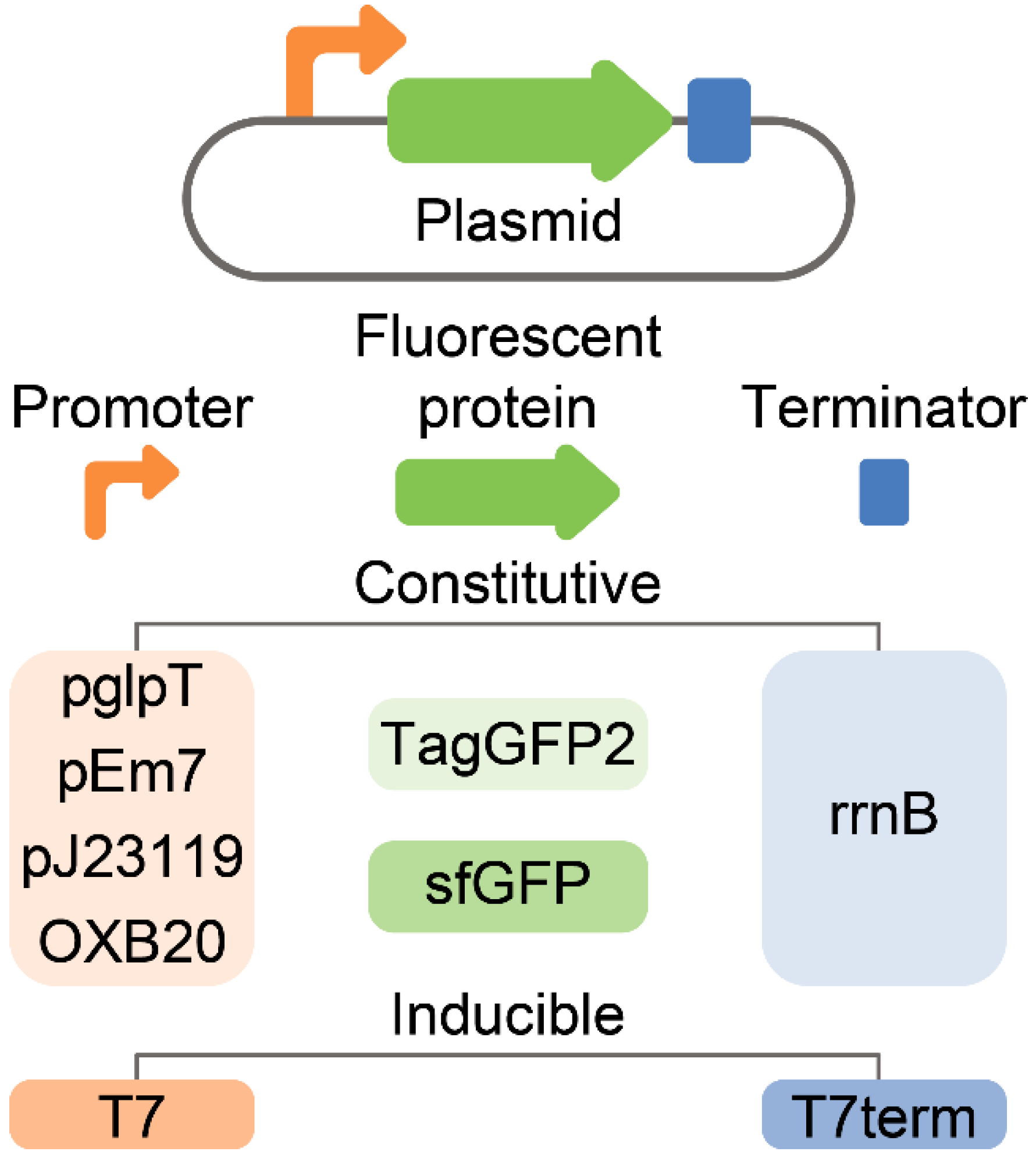 Antibiotics 10 01161 g003