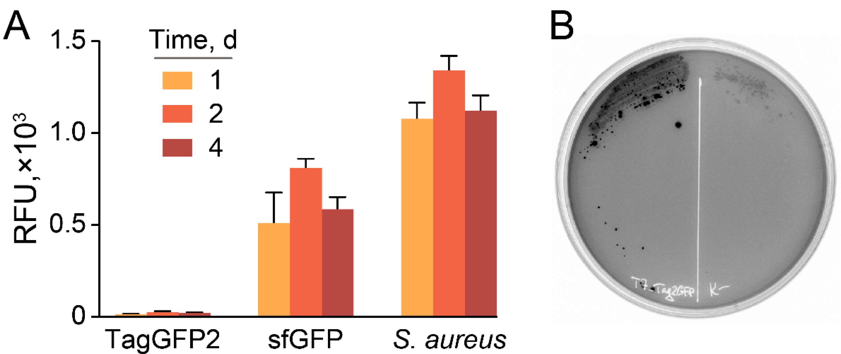Antibiotics 10 01161 g004