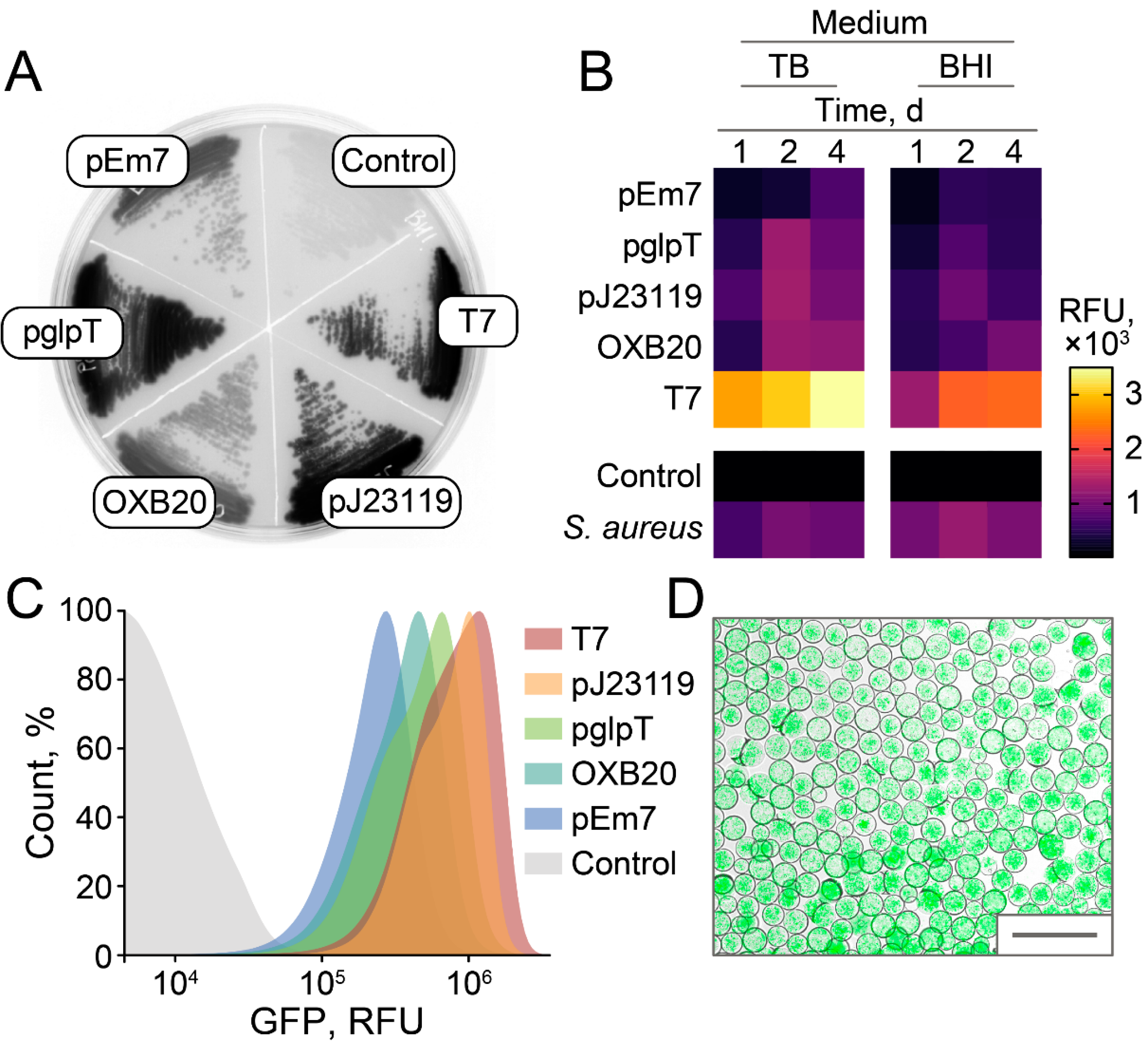 Antibiotics 10 01161 g005