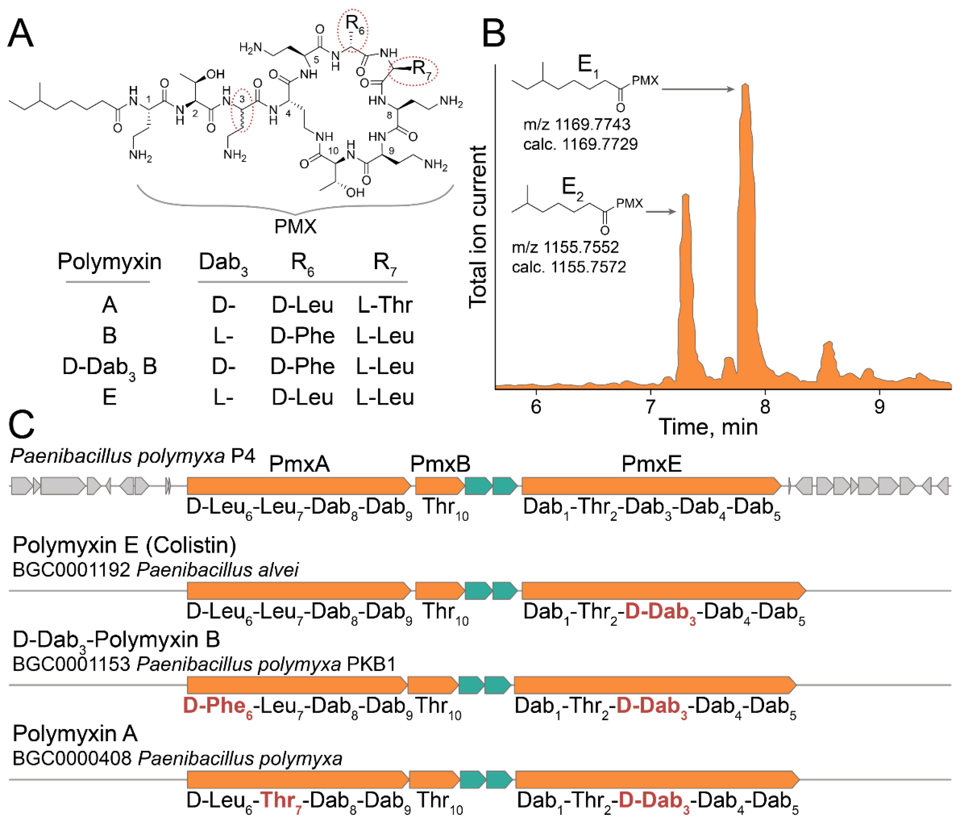 Antibiotics 10 01161 g006