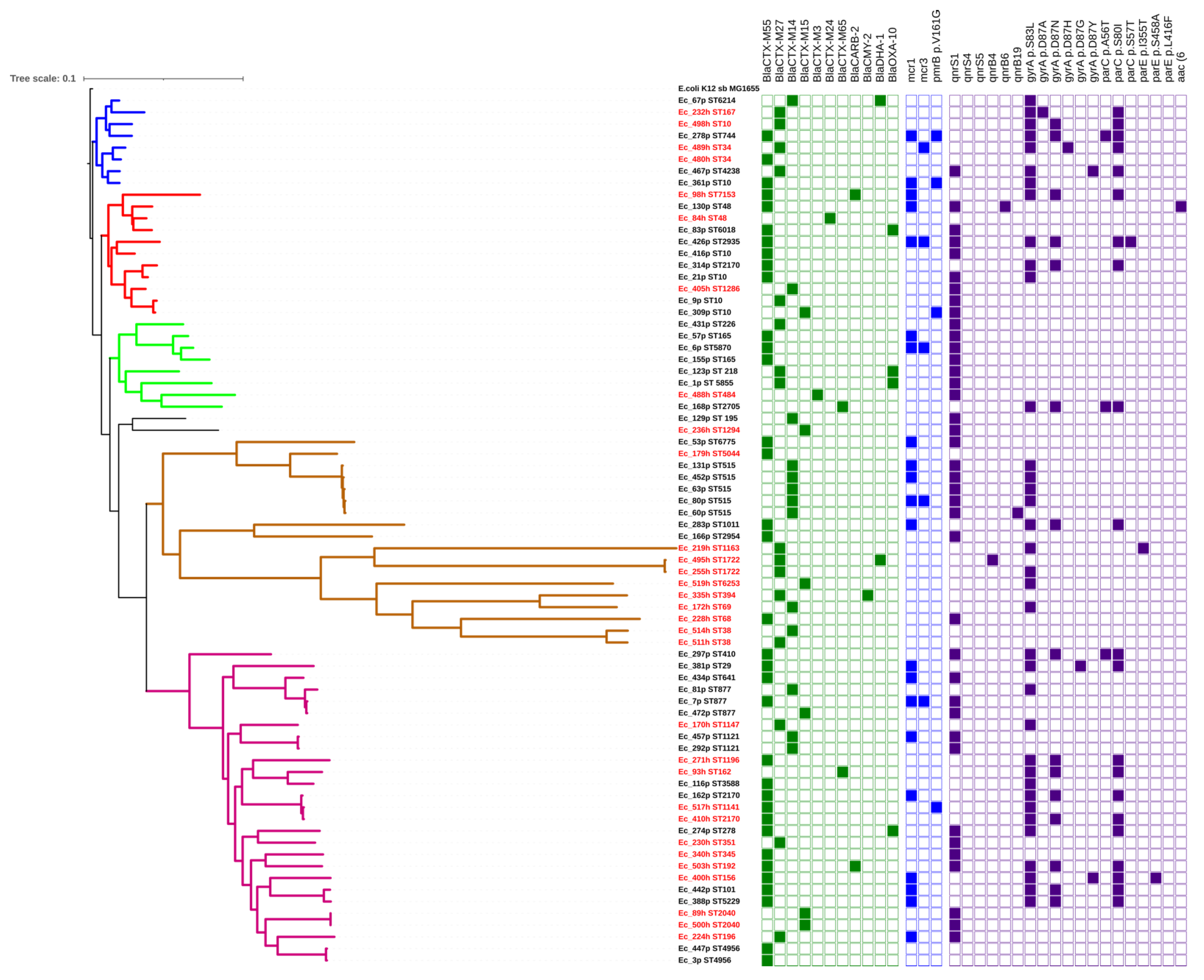 Antibiotics 10 01165 g002 Antibiotics 10 01165 g002