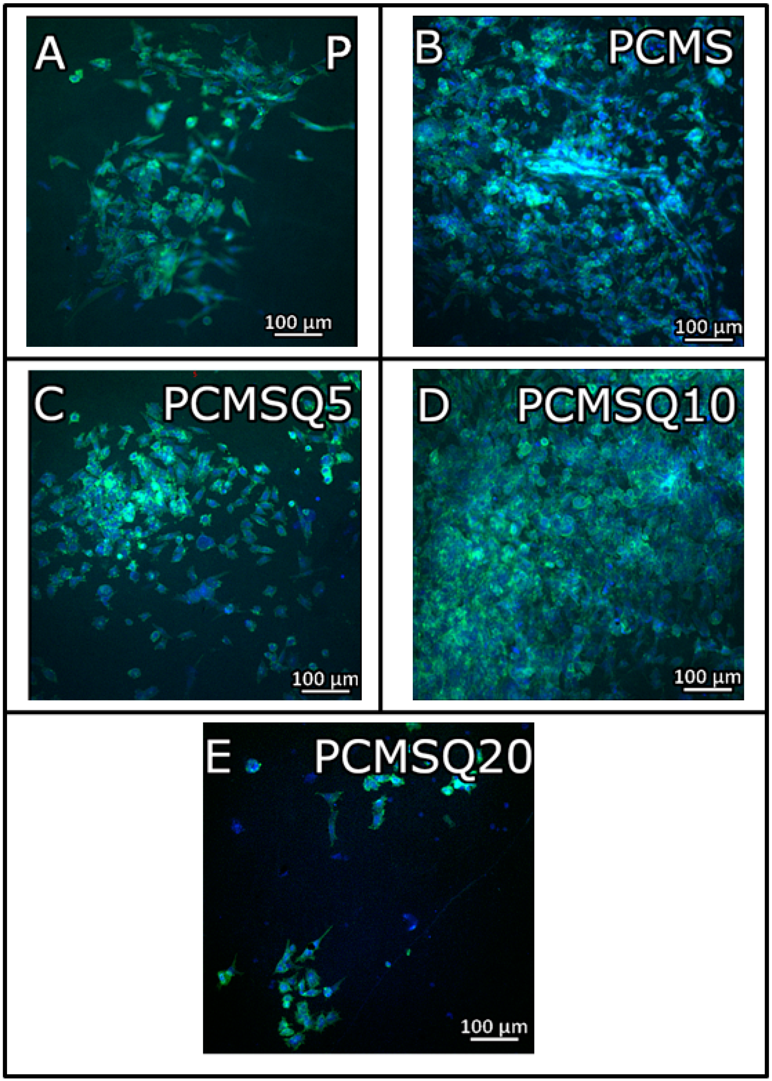 Antibiotics 10 01170 g008 550