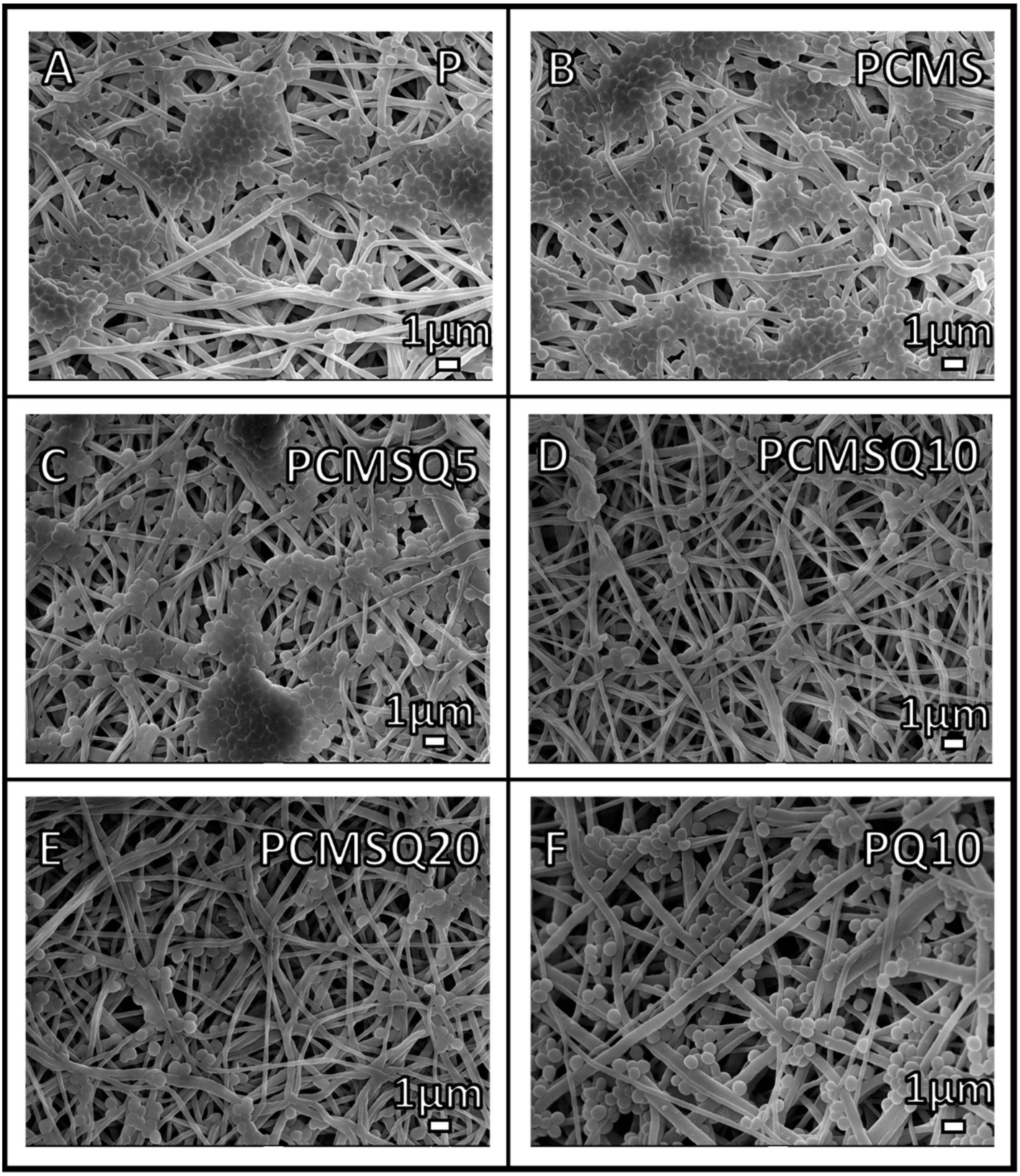 Antibiotics 10 01170 g010 550