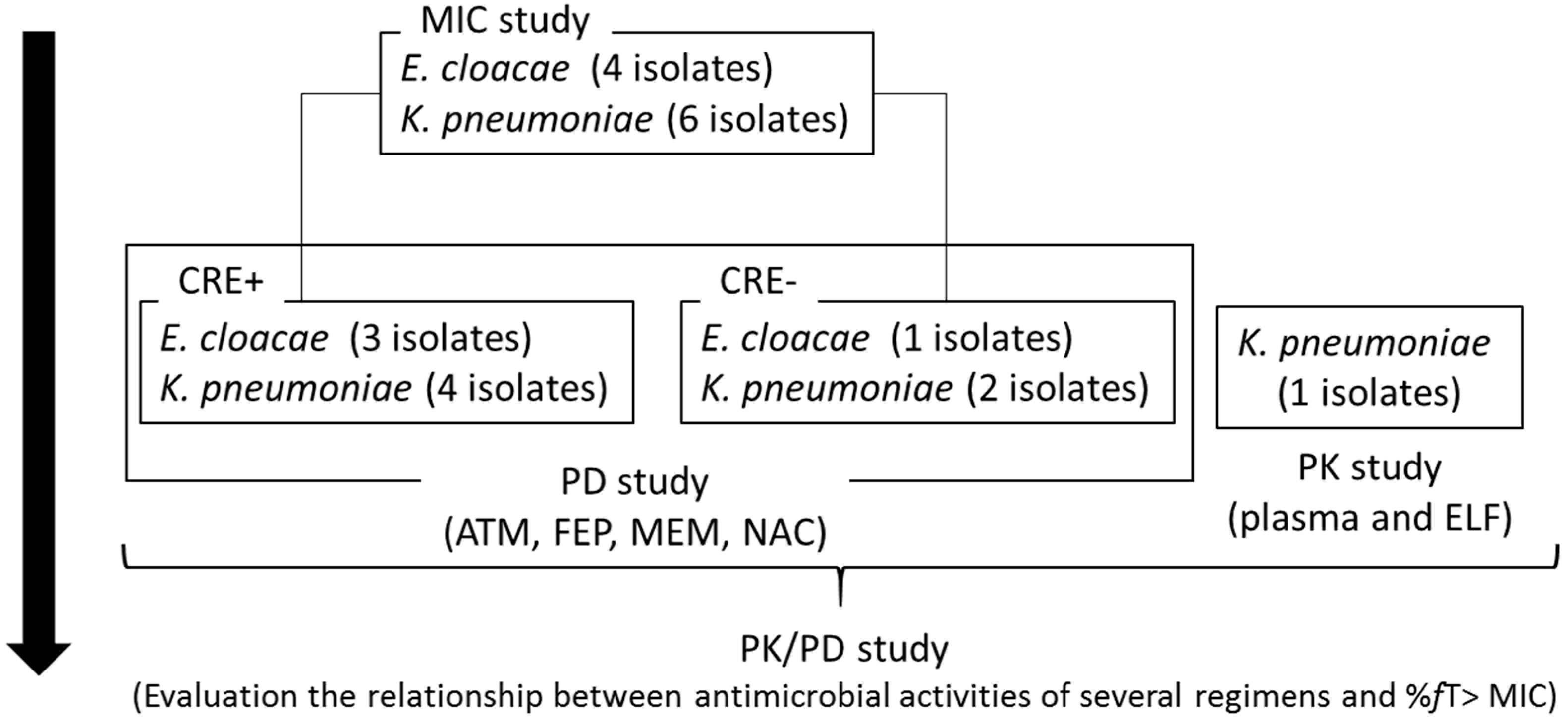 Antibiotics 10 01179 g001
