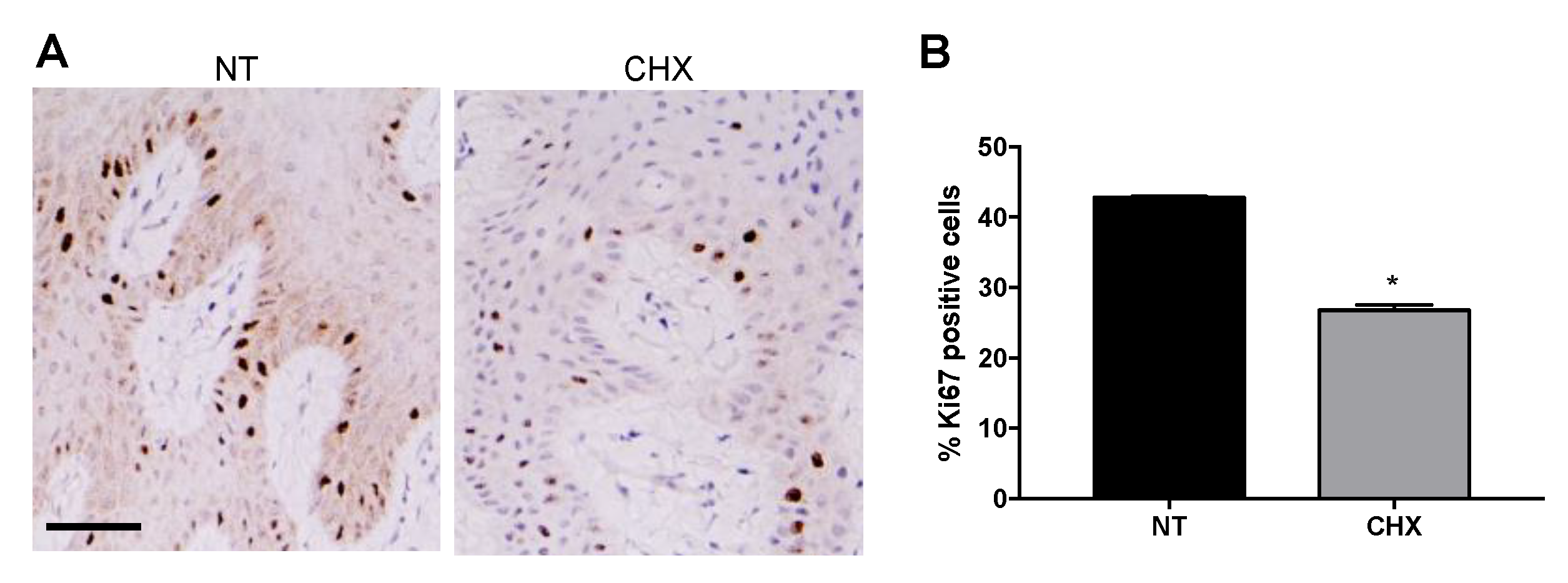 Antibiotics 10 01192 g004
