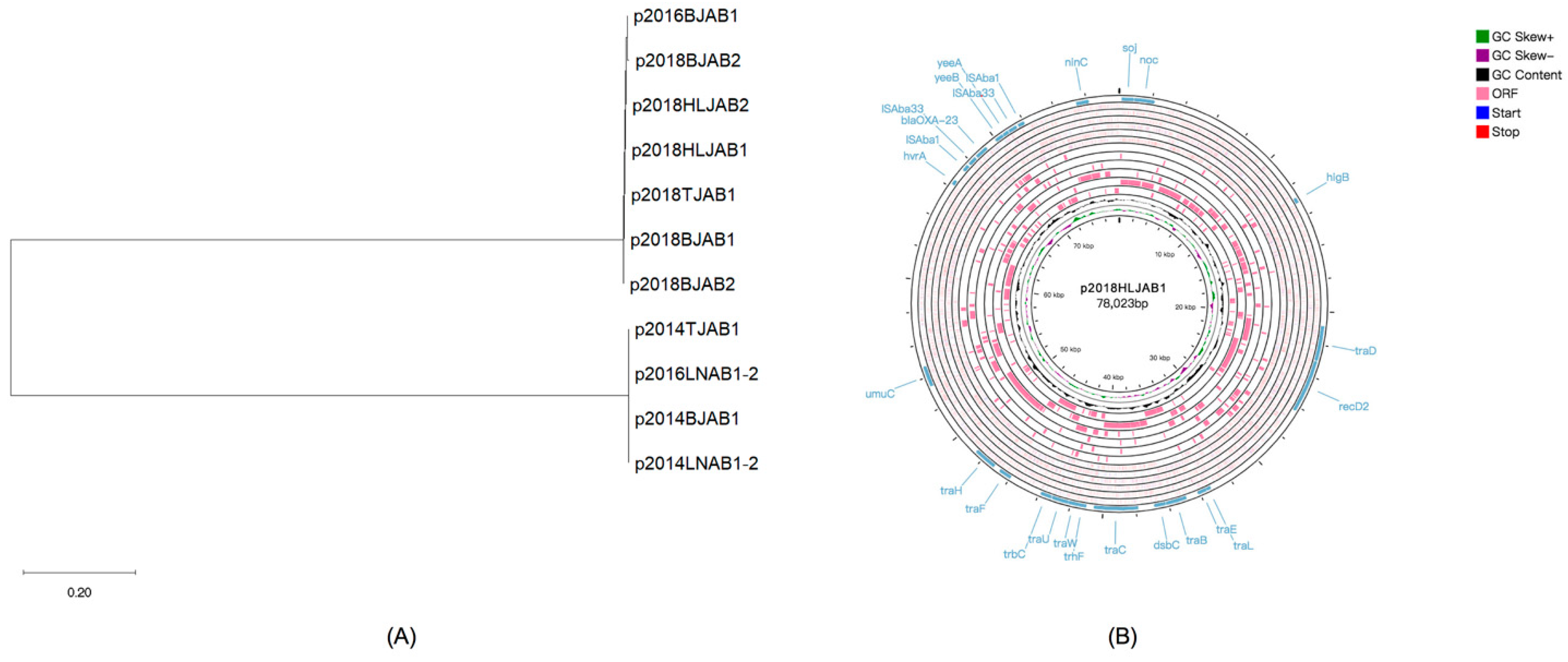 Antibiotics 10 01196 g005