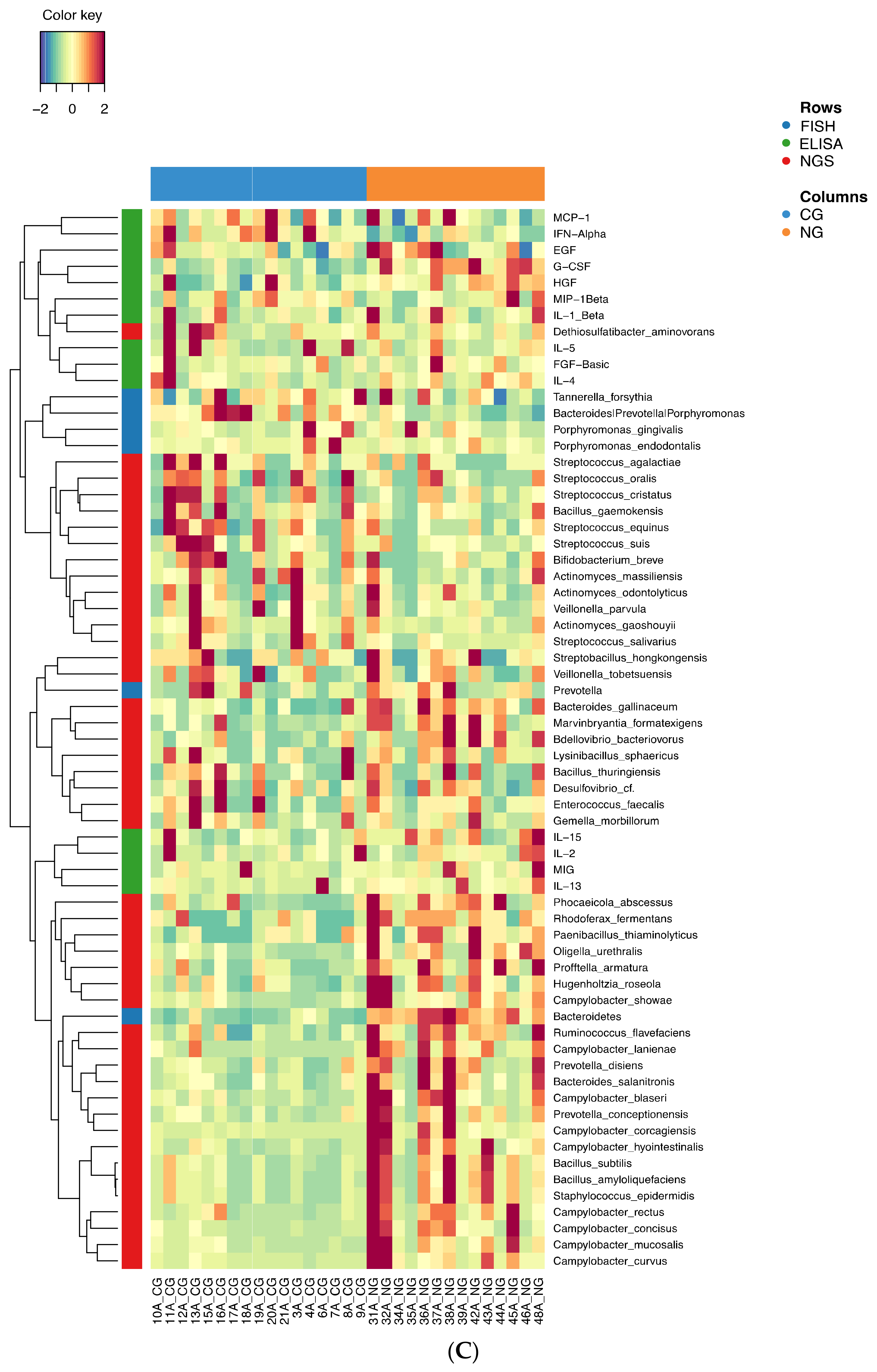 Antibiotics Free FullText Necrotizing Gingivitis Microbial