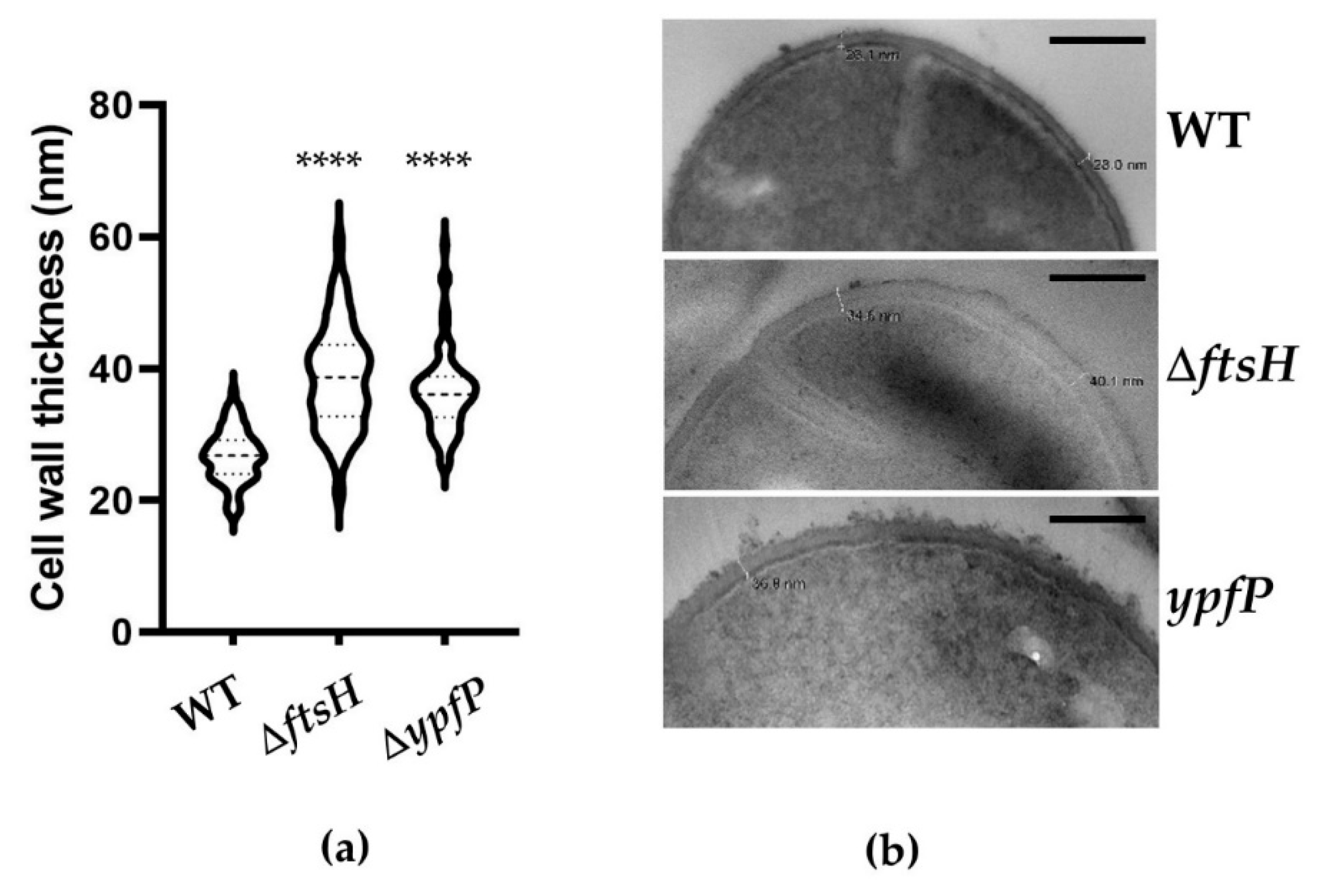 Antibiotics 10 01198 g003 550