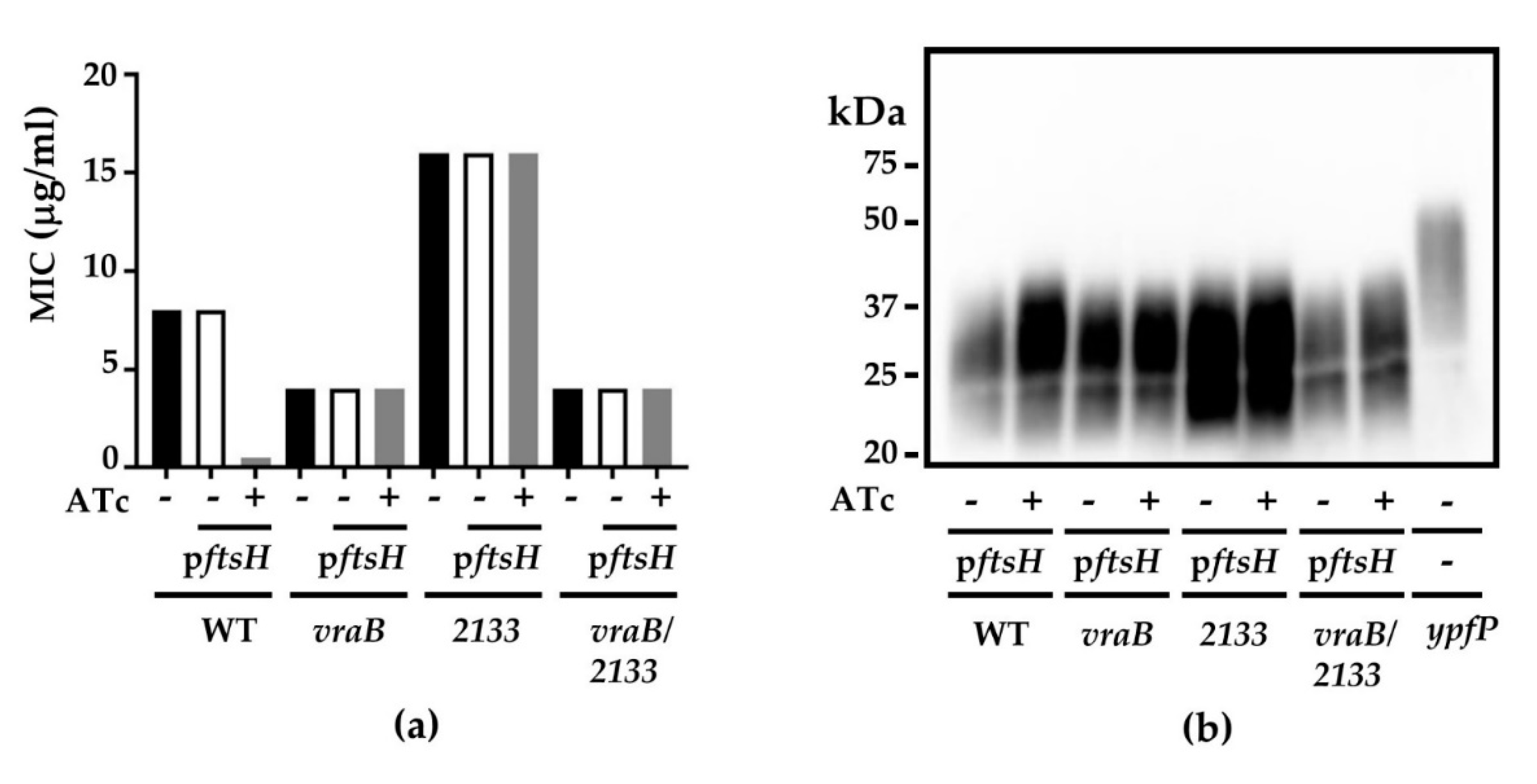 Antibiotics 10 01198 g004 550