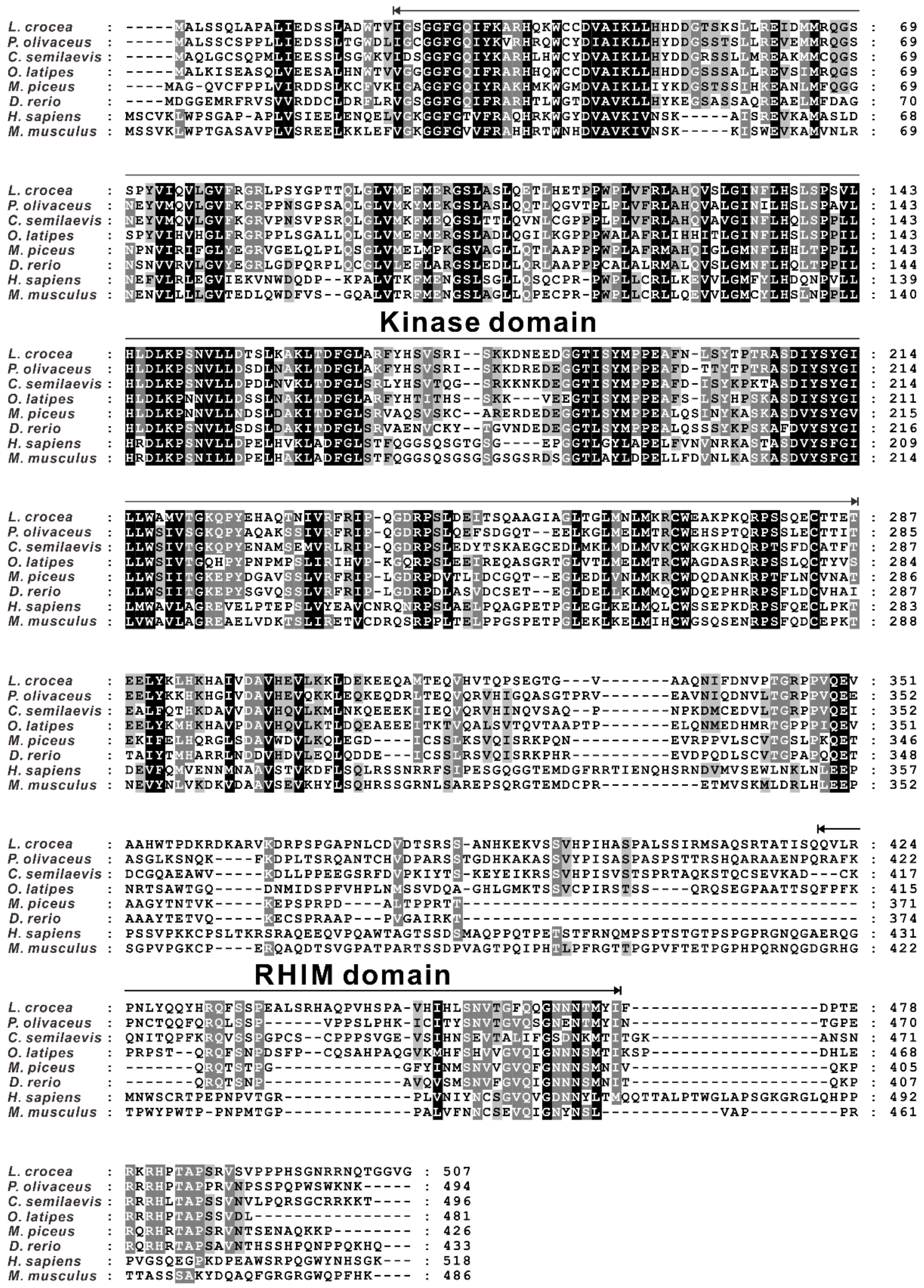 Antibiotics 10 01199 g001