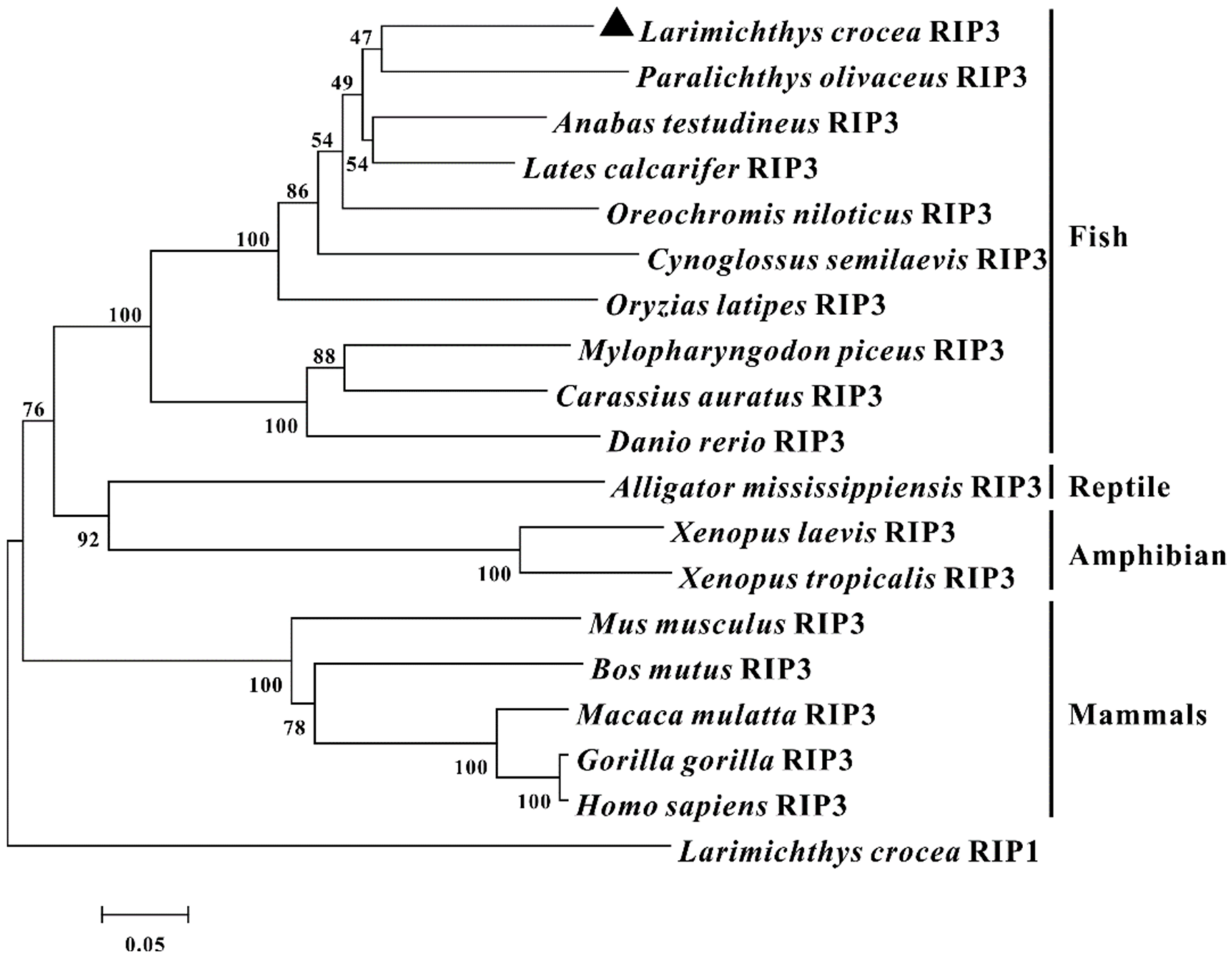Antibiotics 10 01199 g002