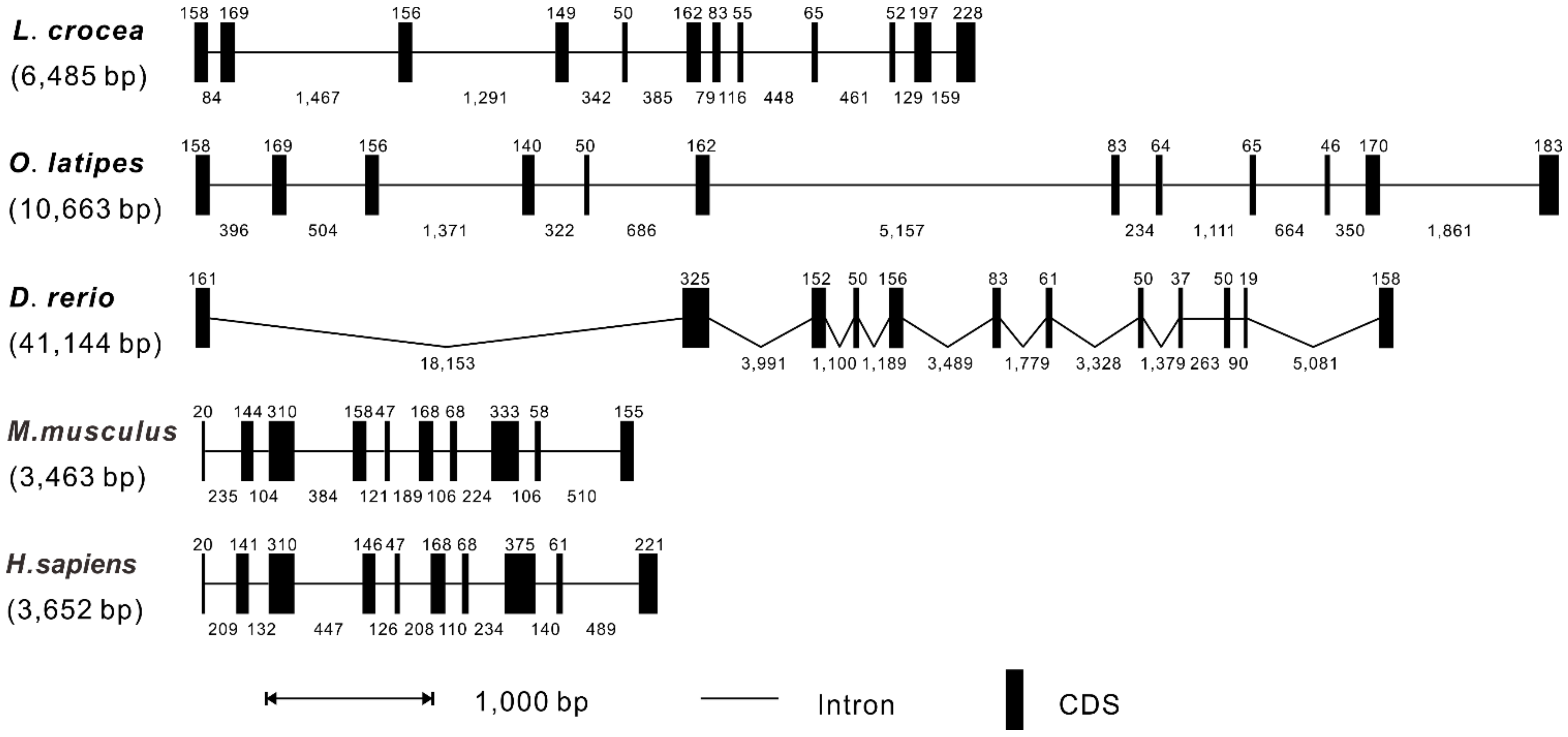 Antibiotics 10 01199 g003
