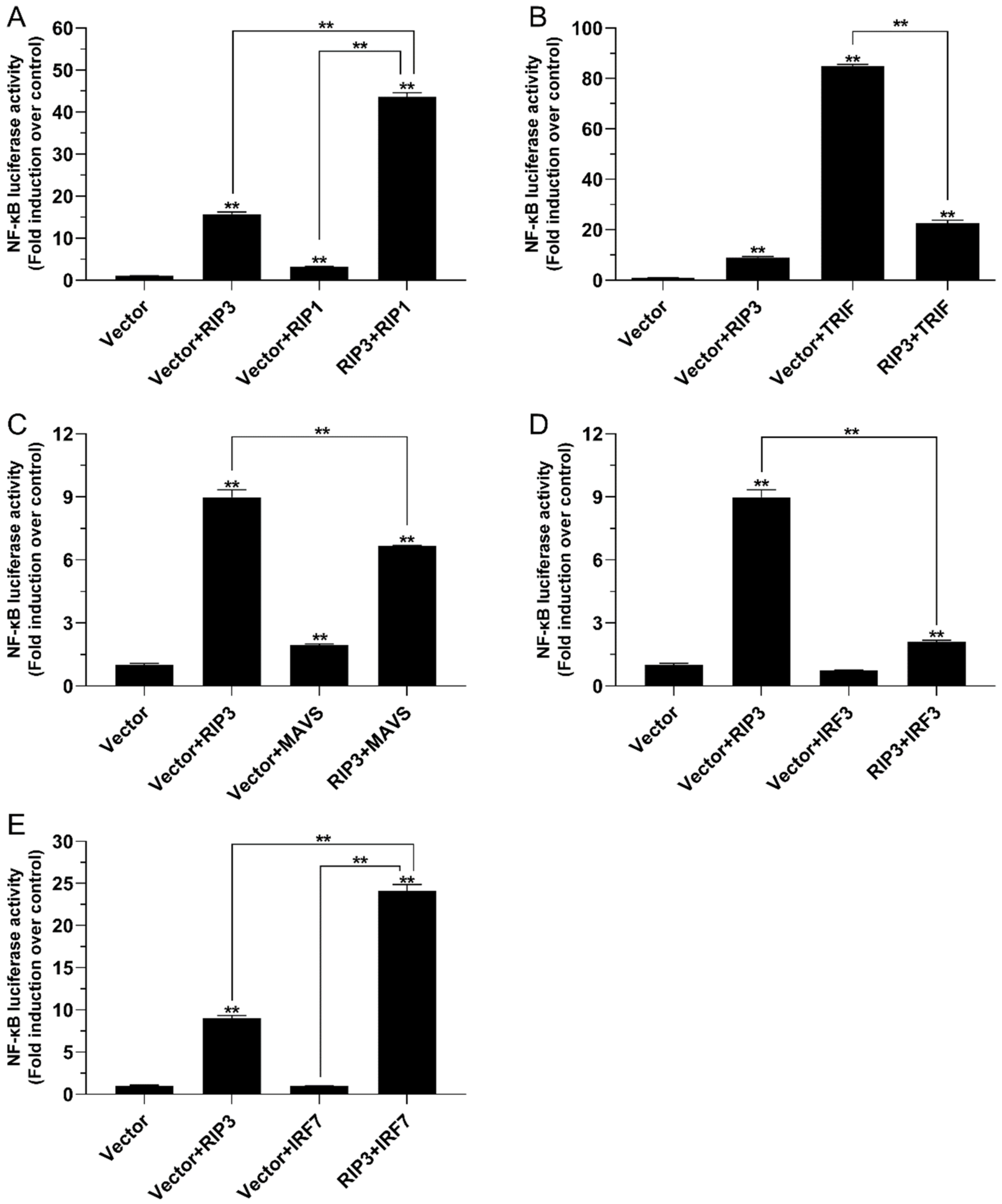 Antibiotics 10 01199 g007