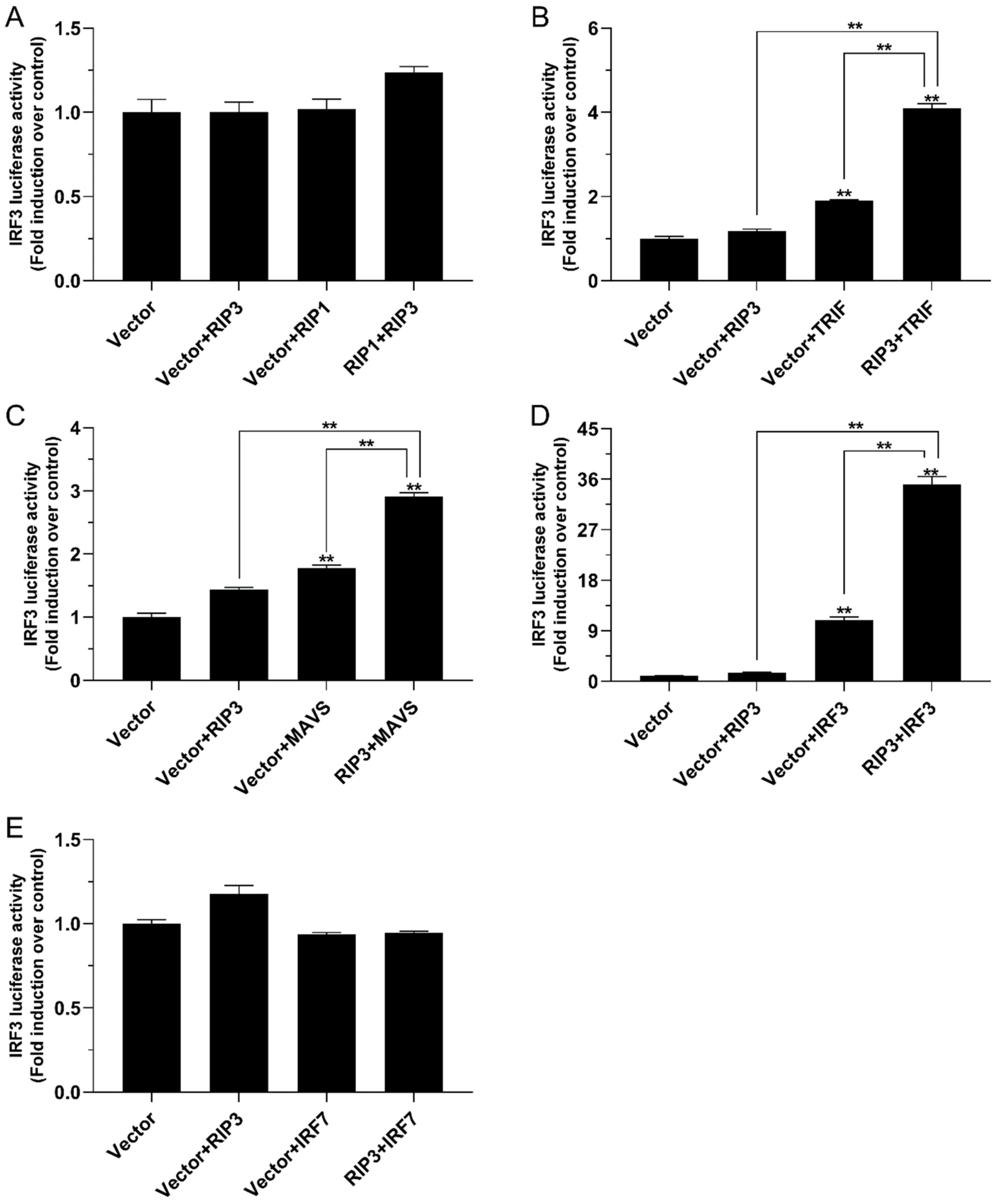 Antibiotics 10 01199 g008