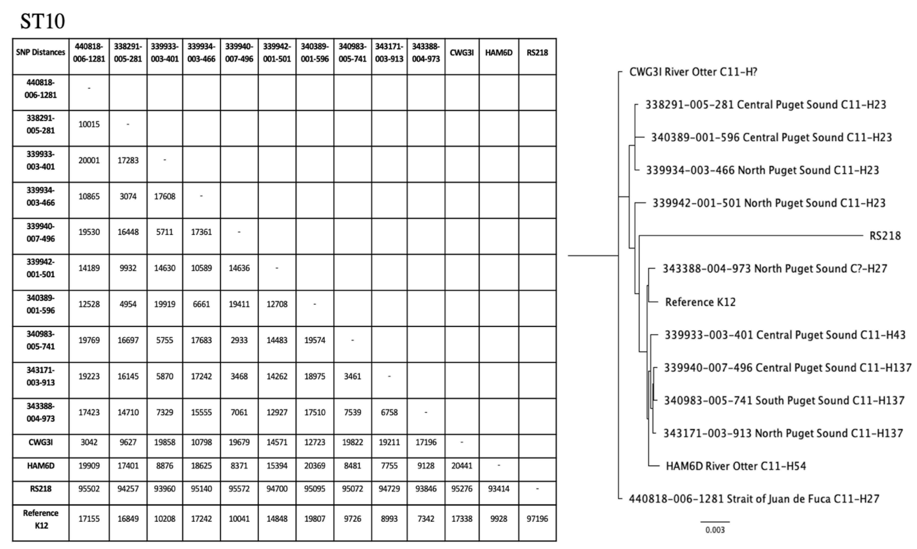 Antibiotics 10 01201 g002a Antibiotics 10 01201 g002a