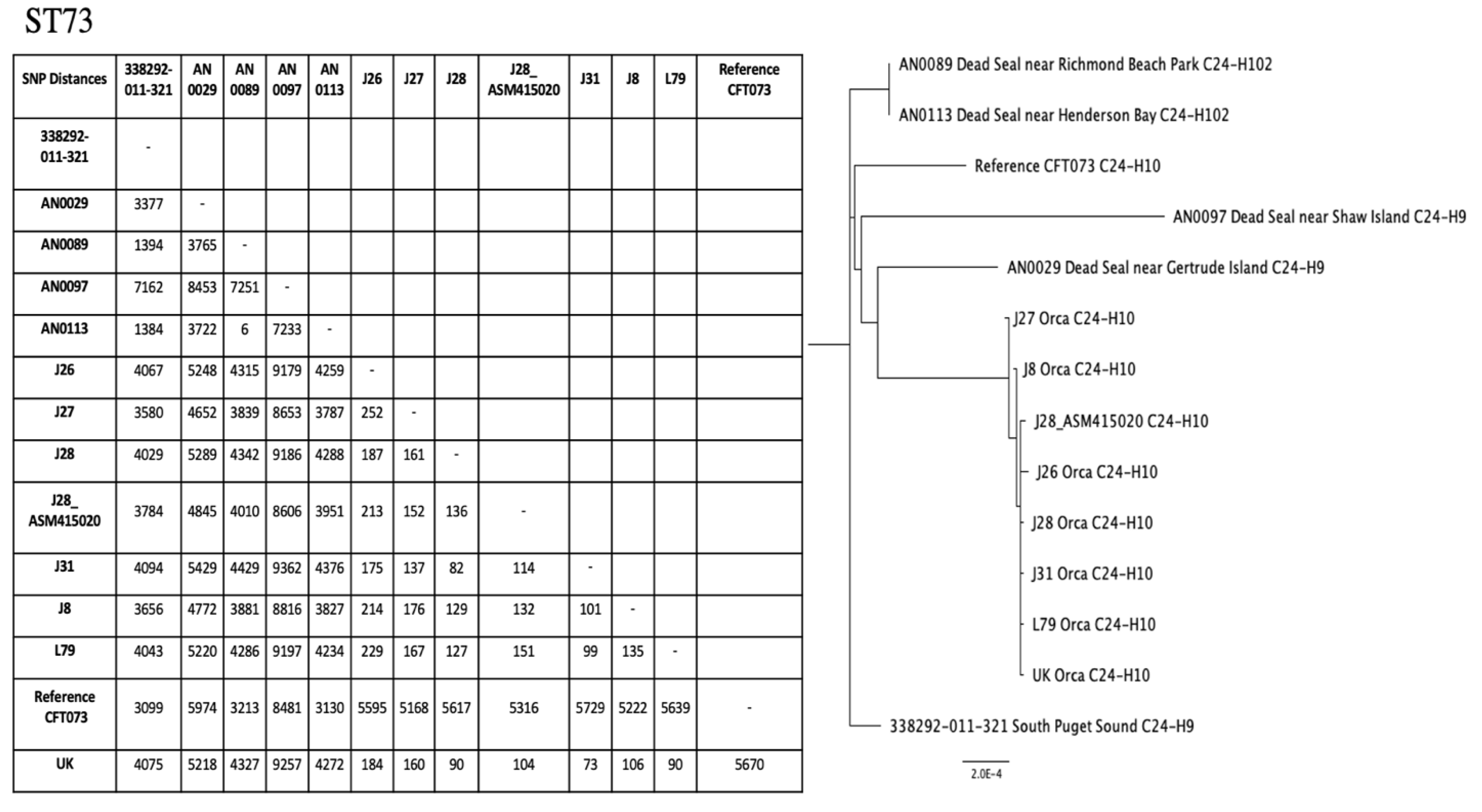 Antibiotics 10 01201 g002b Antibiotics 10 01201 g002b