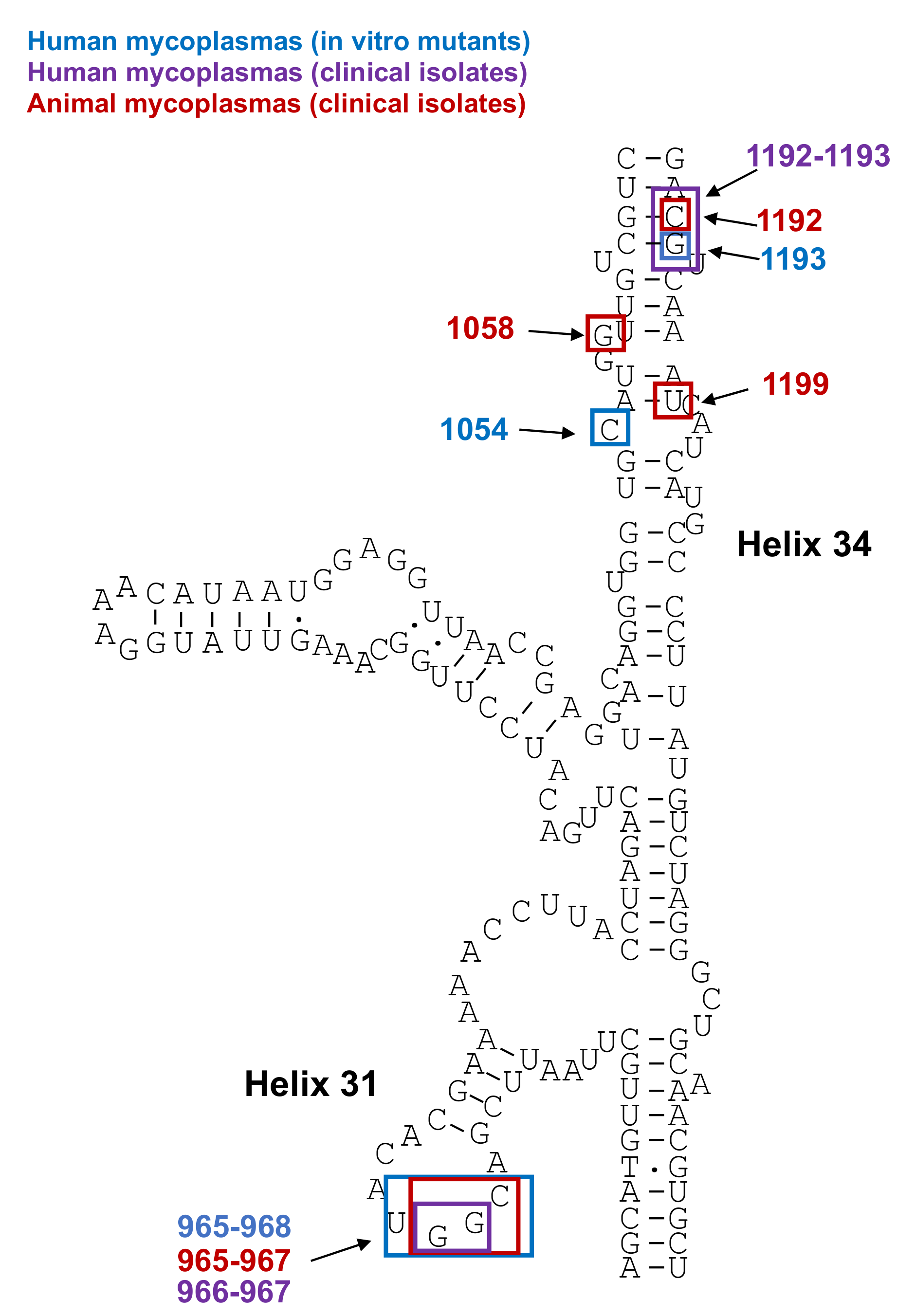 Antibiotics 10 01216 g002