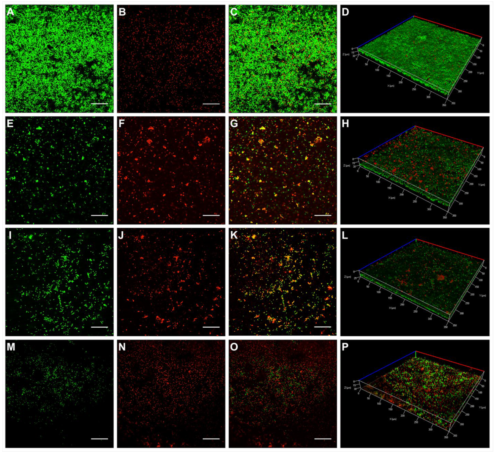 Antibiotics 10 01220 g002