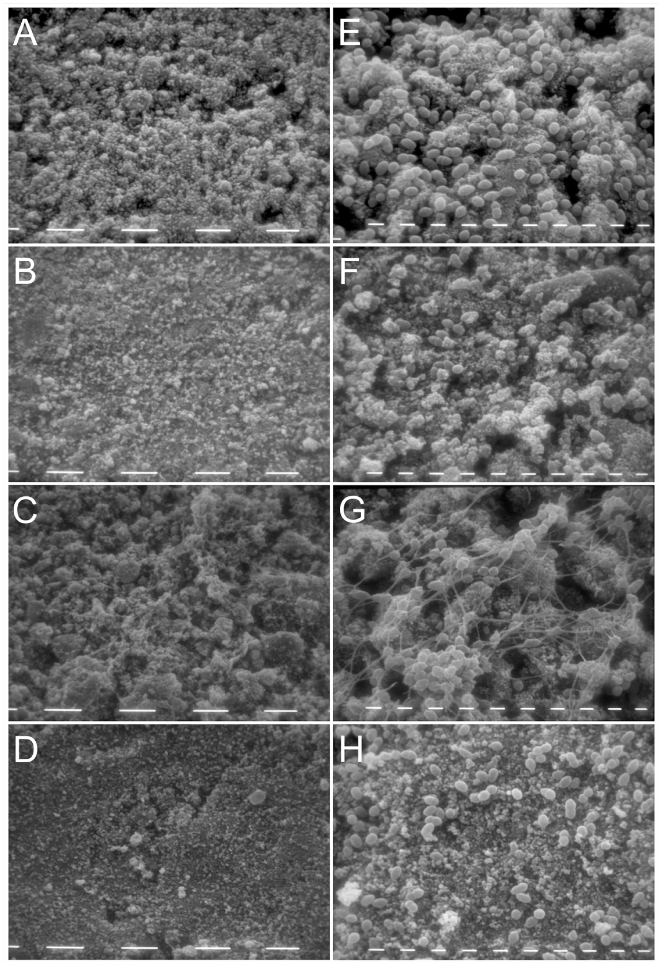 Antibiotics 10 01220 g004