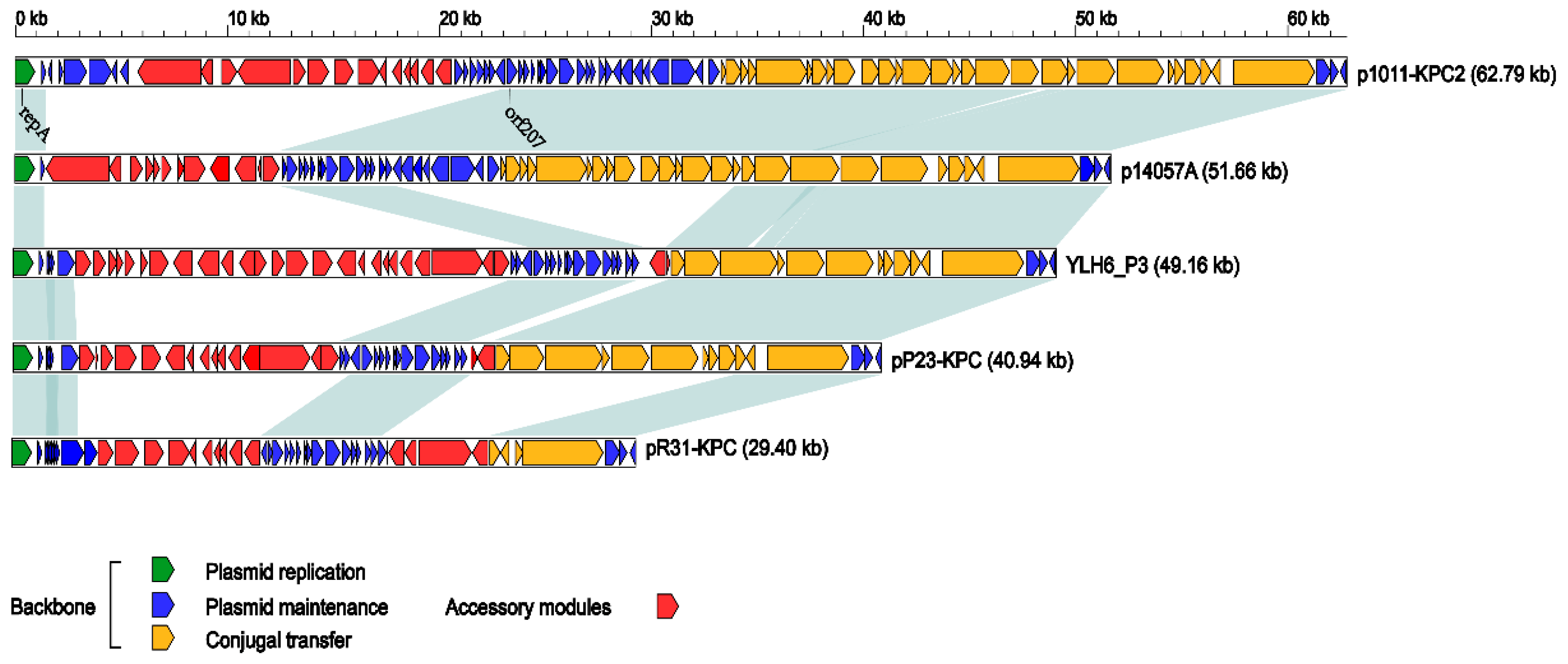 Antibiotics 10 01234 g001