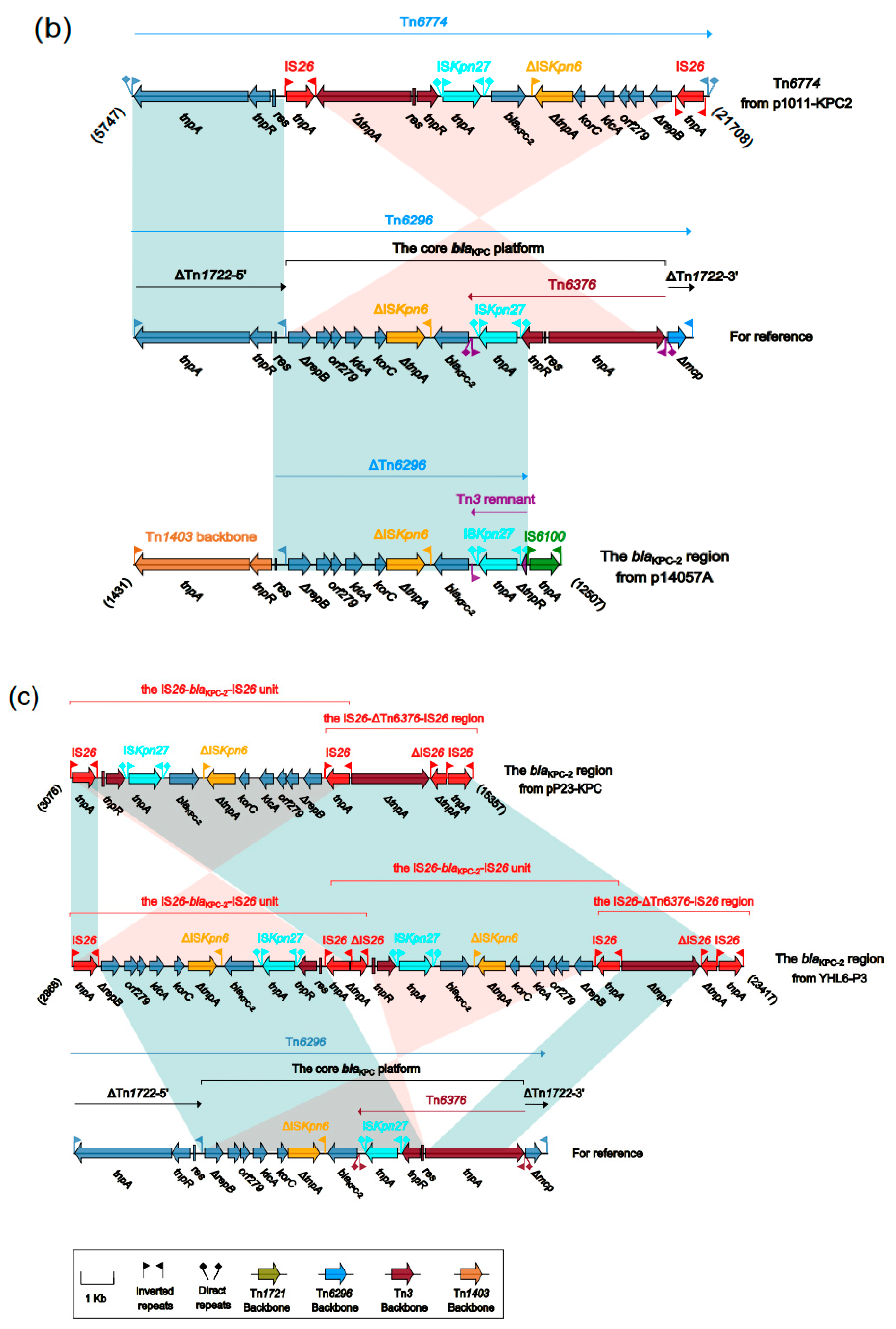 Antibiotics 10 01234 g002b