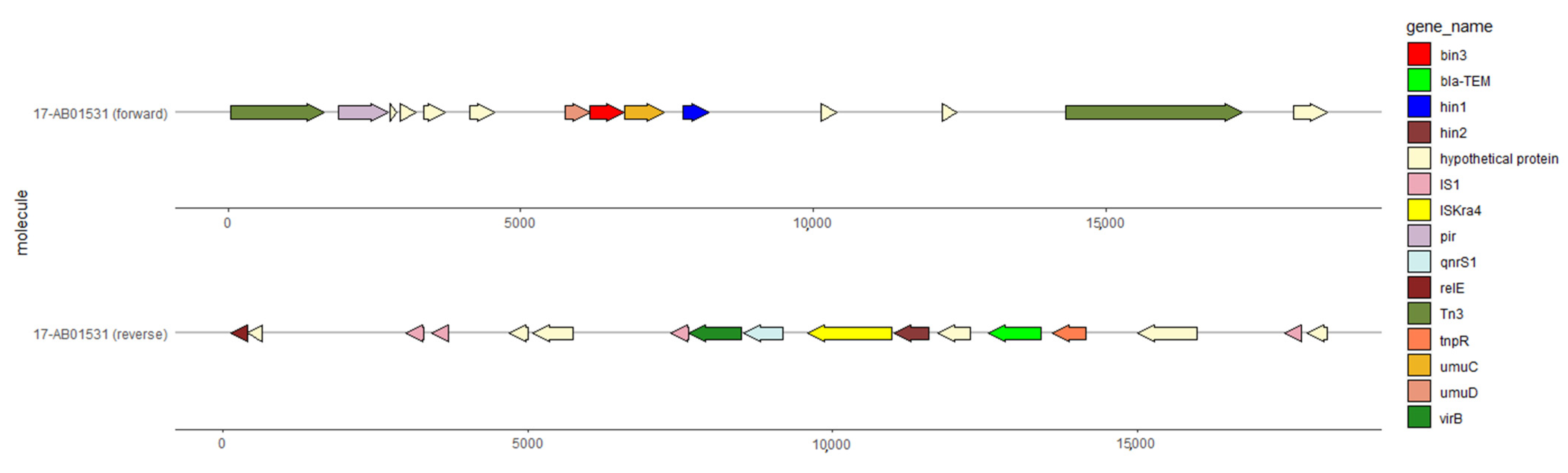 Antibiotics 10 01236 g005 Antibiotics 10 01236 g005