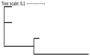 Antibiotics 10 01236 i001 Antibiotics 10 01236 i001