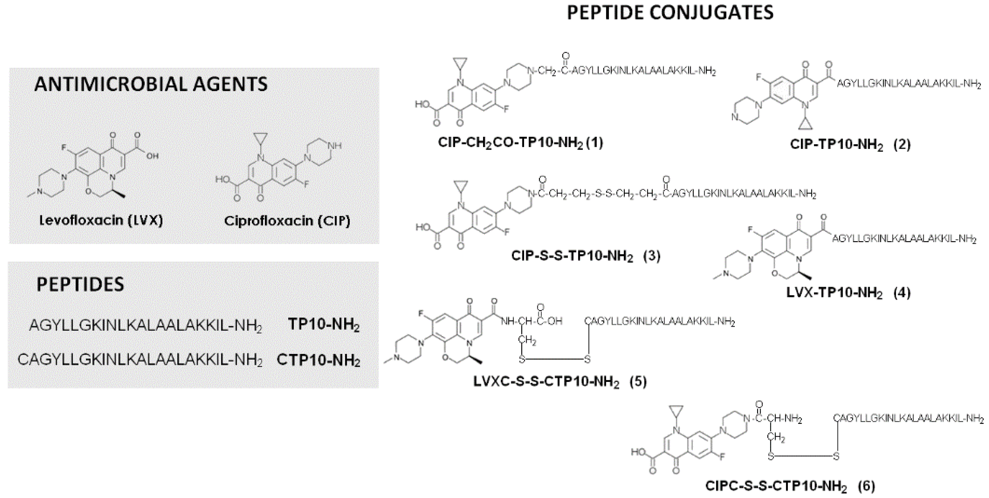 Antibiotics 10 01237 g001