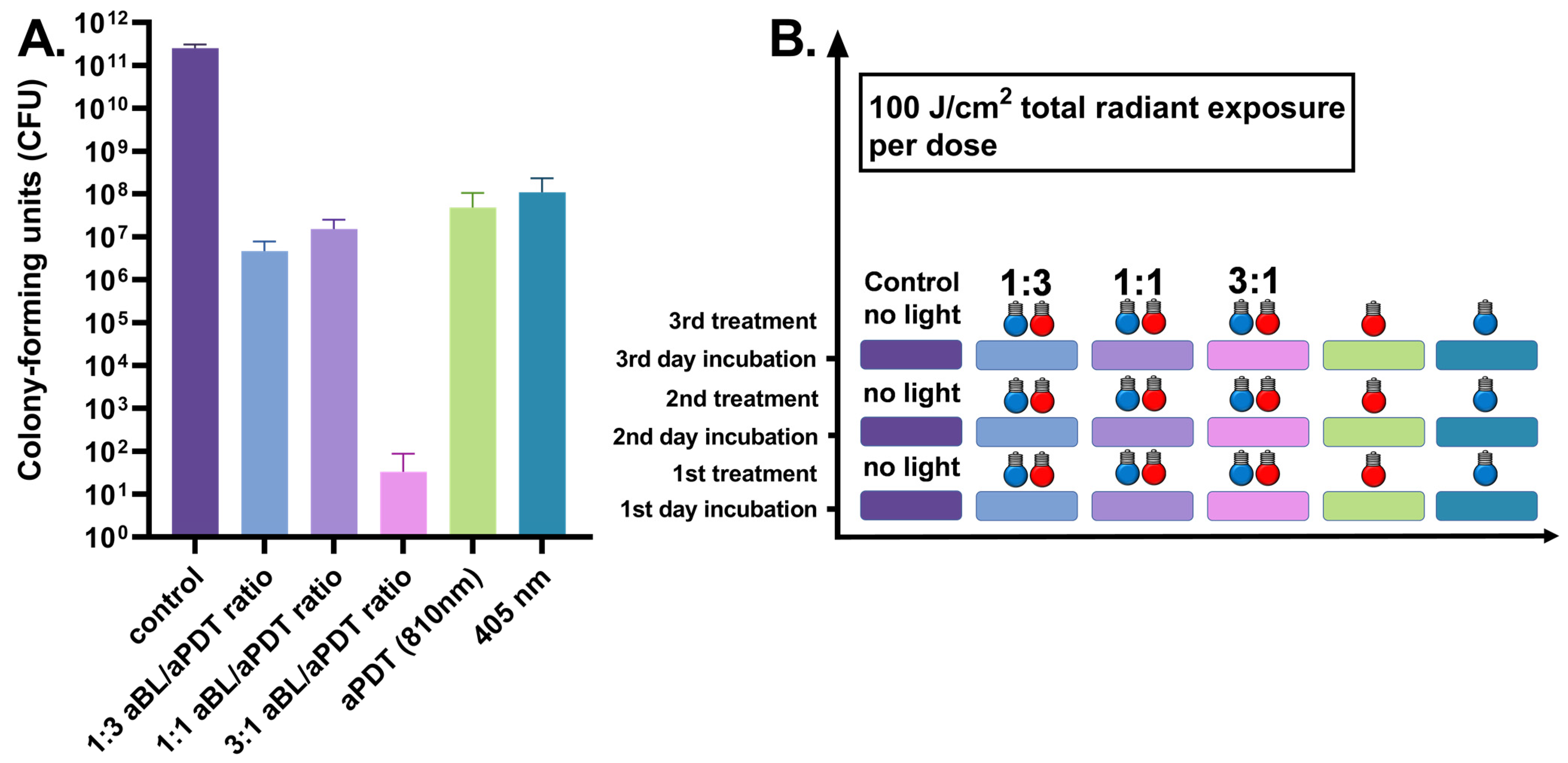Antibiotics 10 01240 g003