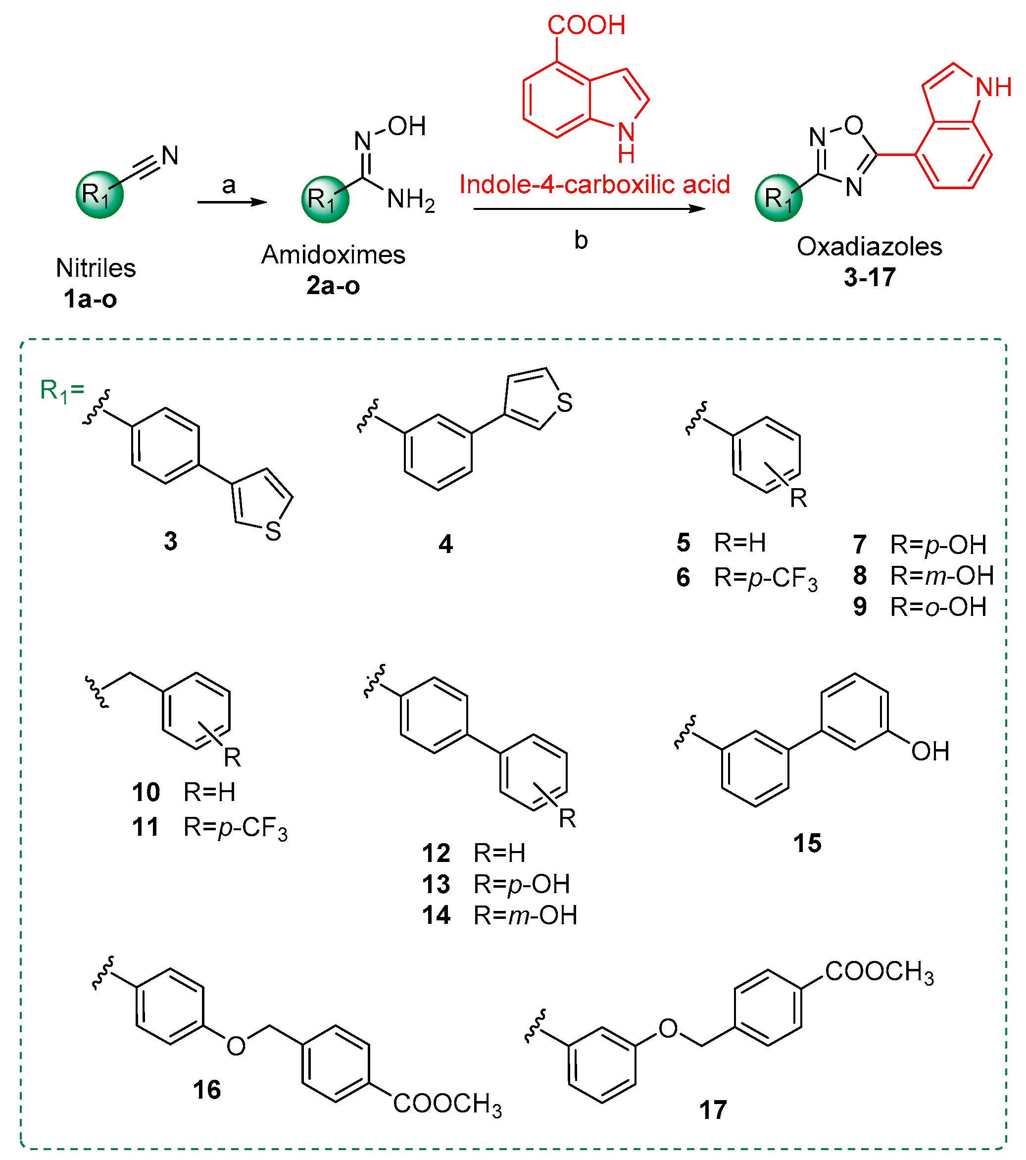 Oxadiazoles antibiotics