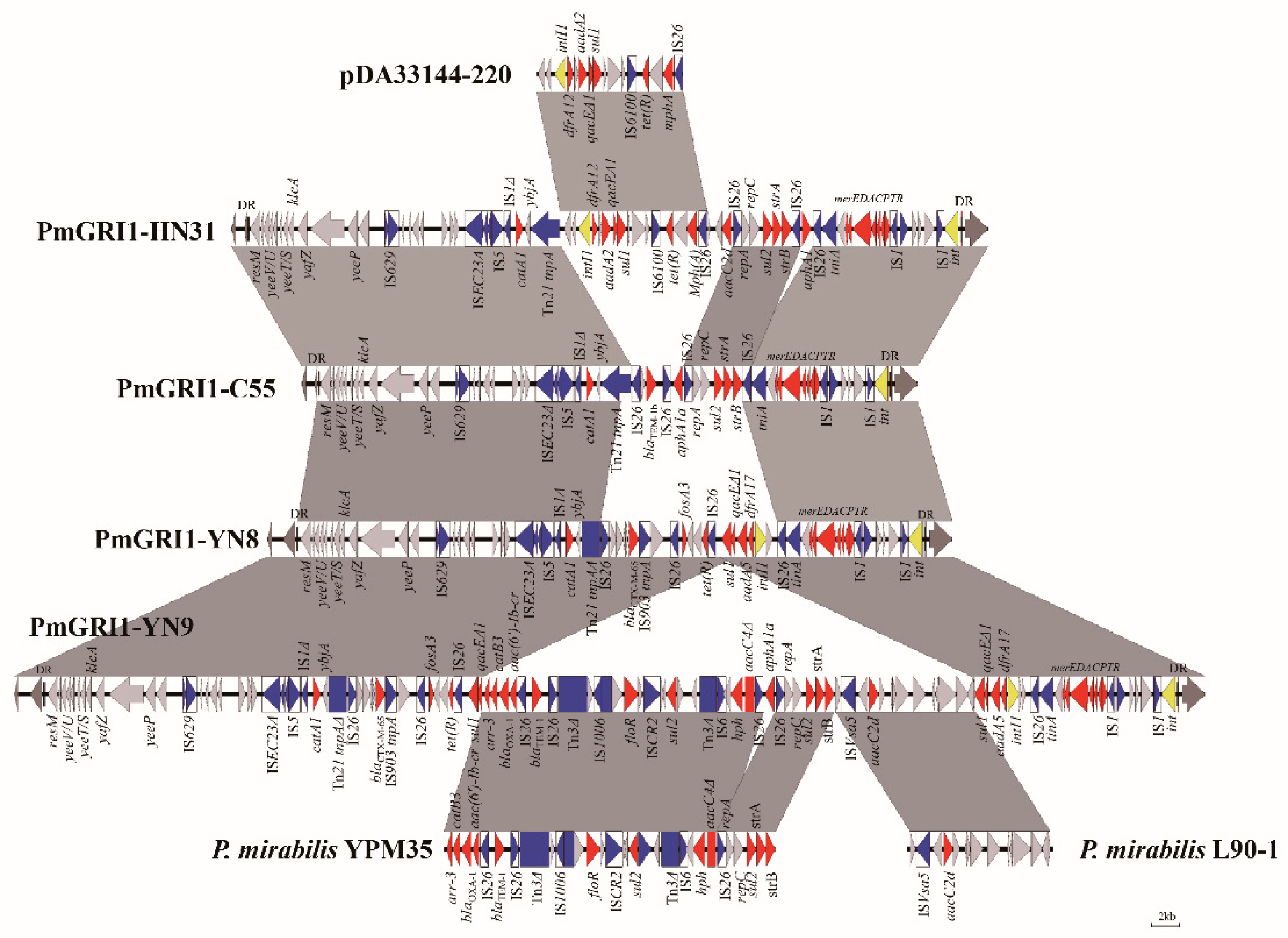 Antibiotics Free FullText Identification of Three Novel PmGRI1 Genomic Resistance Islands