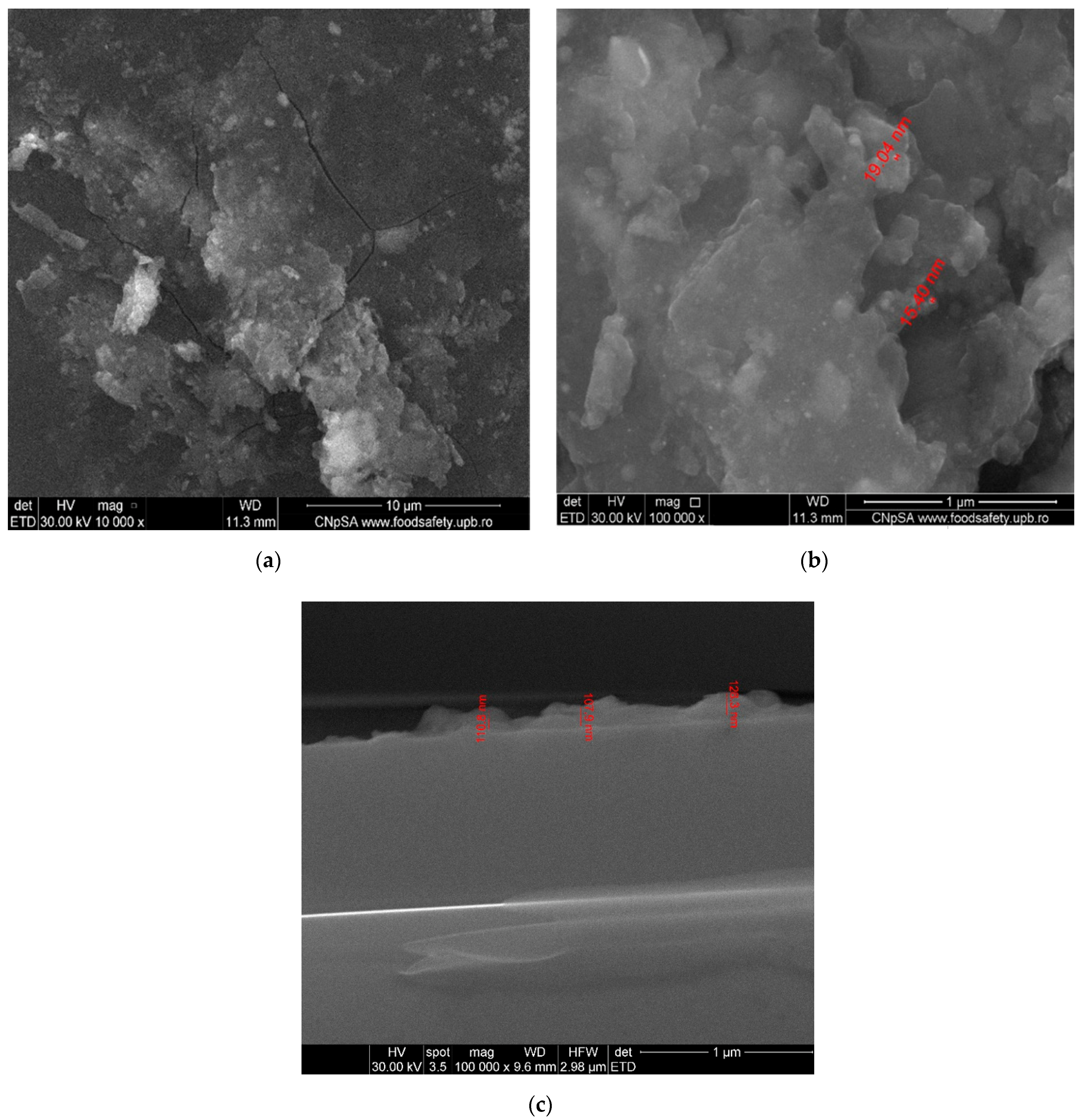 Antibiotics 10 01269 g008