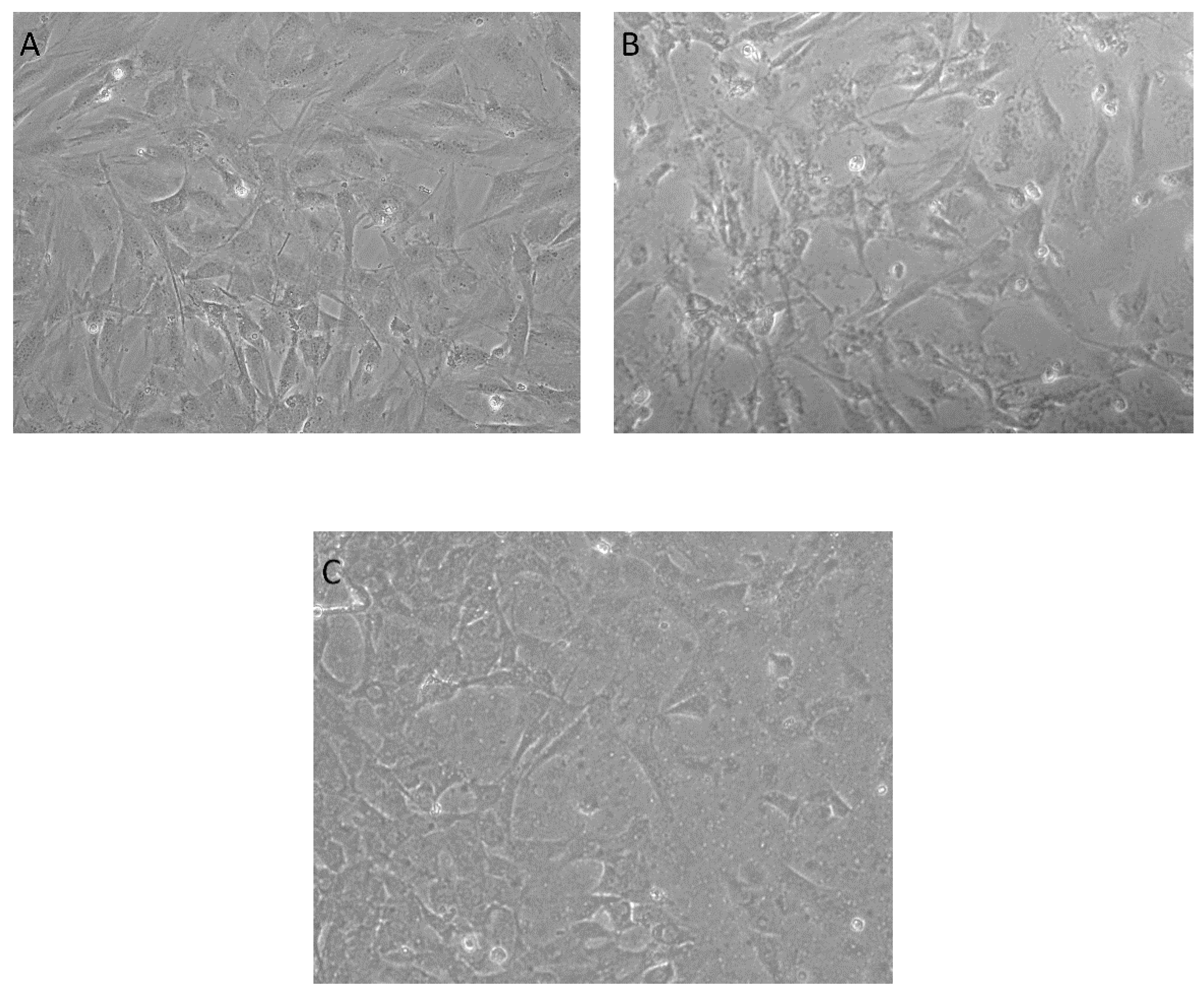Antibiotics 10 01269 g010