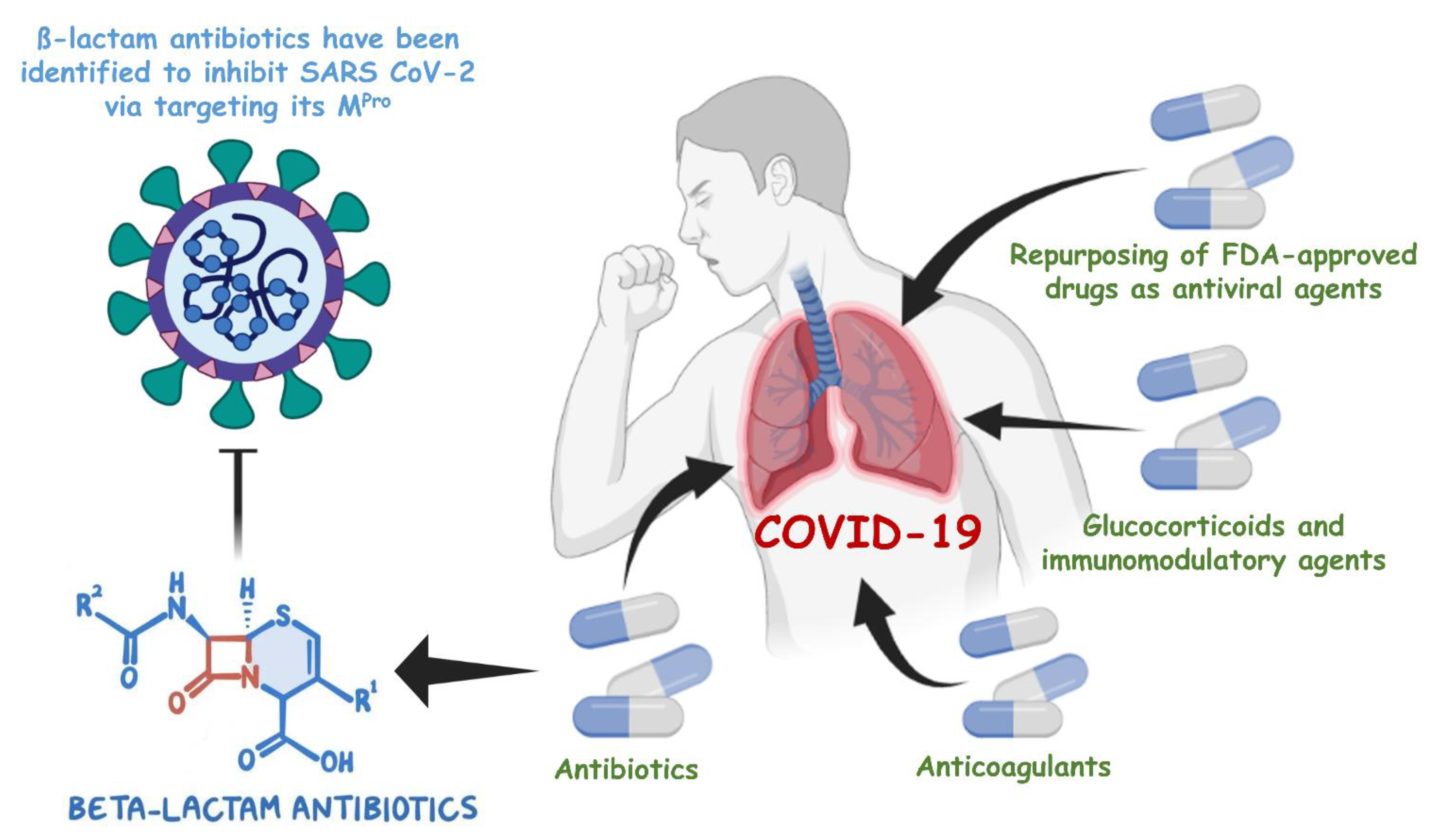 Antibiotics 10 01278 g001