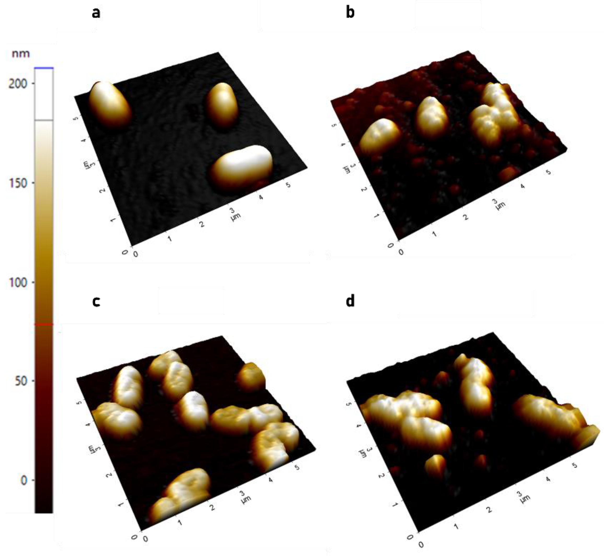 Antibiotics 10 01279 g001