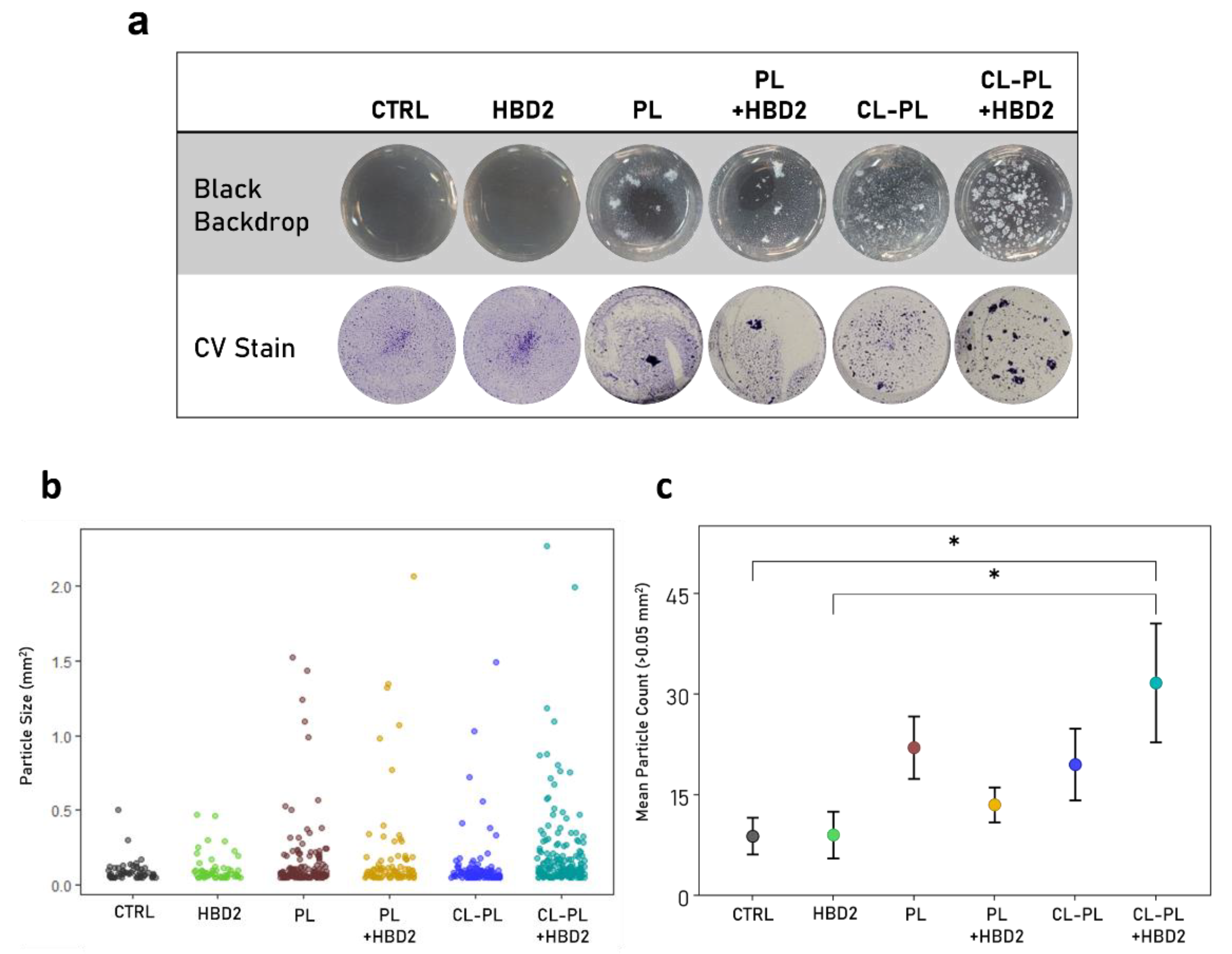 Antibiotics 10 01279 g005