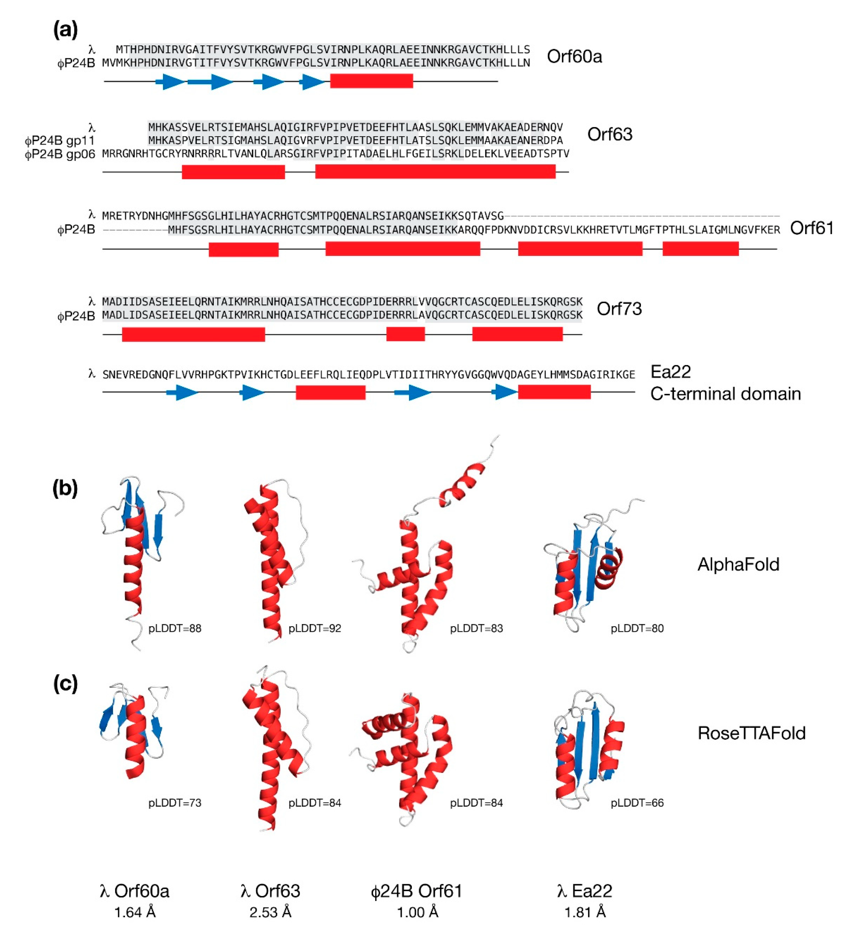 Antibiotics 10 01282 g003