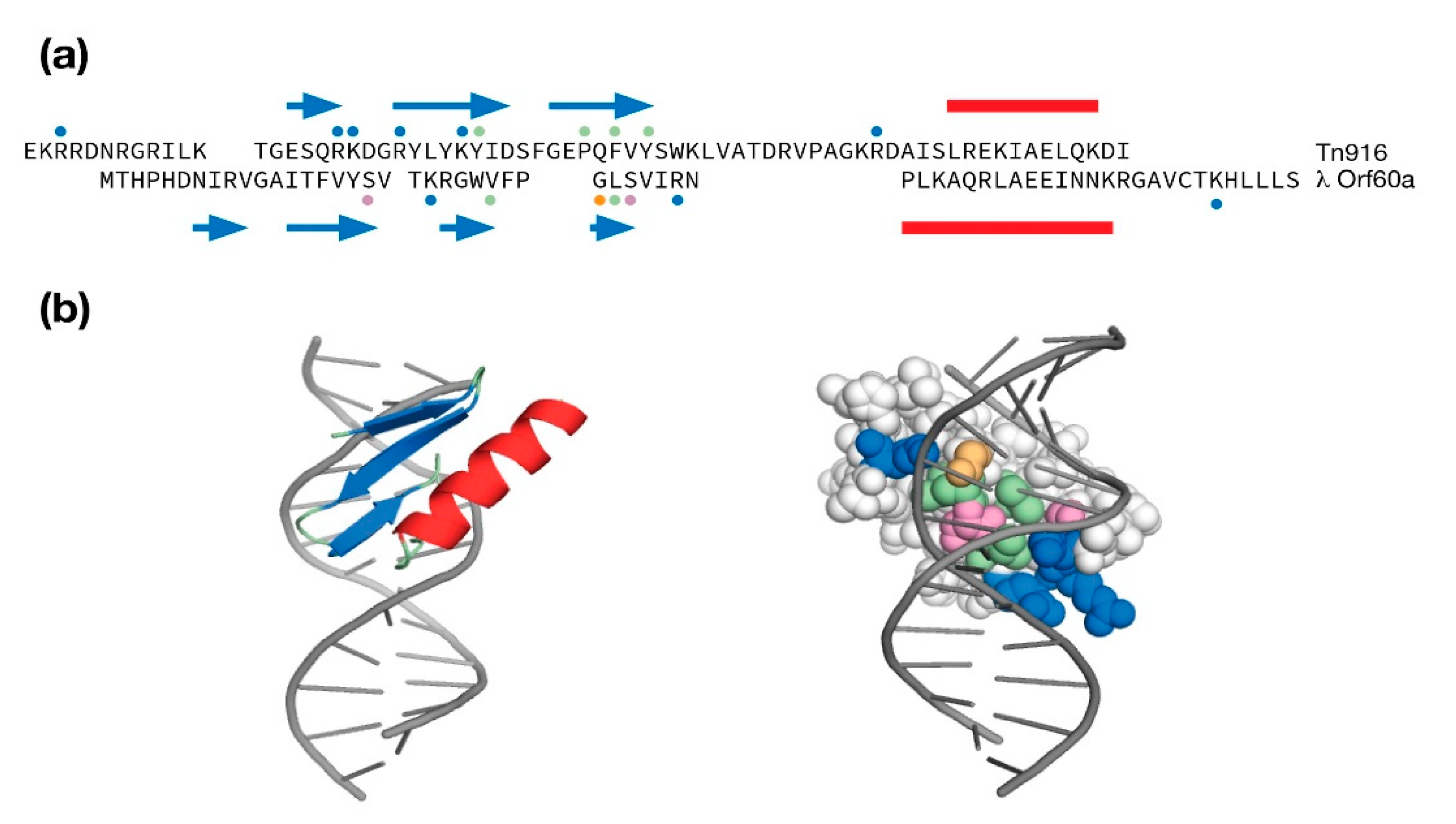 Antibiotics 10 01282 g004